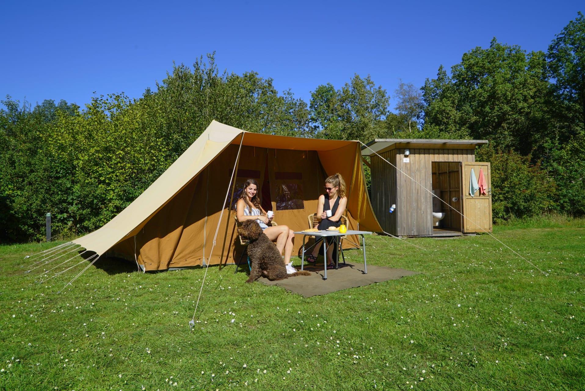 Unterkünfte Ruinen - Camping Stellplatz - Stellplatz Komfort Privatsanitär - 7