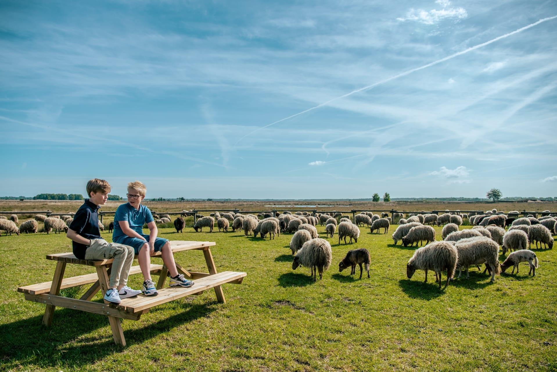 Unterkünfte Ruinen - Camping Stellplatz - Stellplatz Komfort Privatsanitär - 12