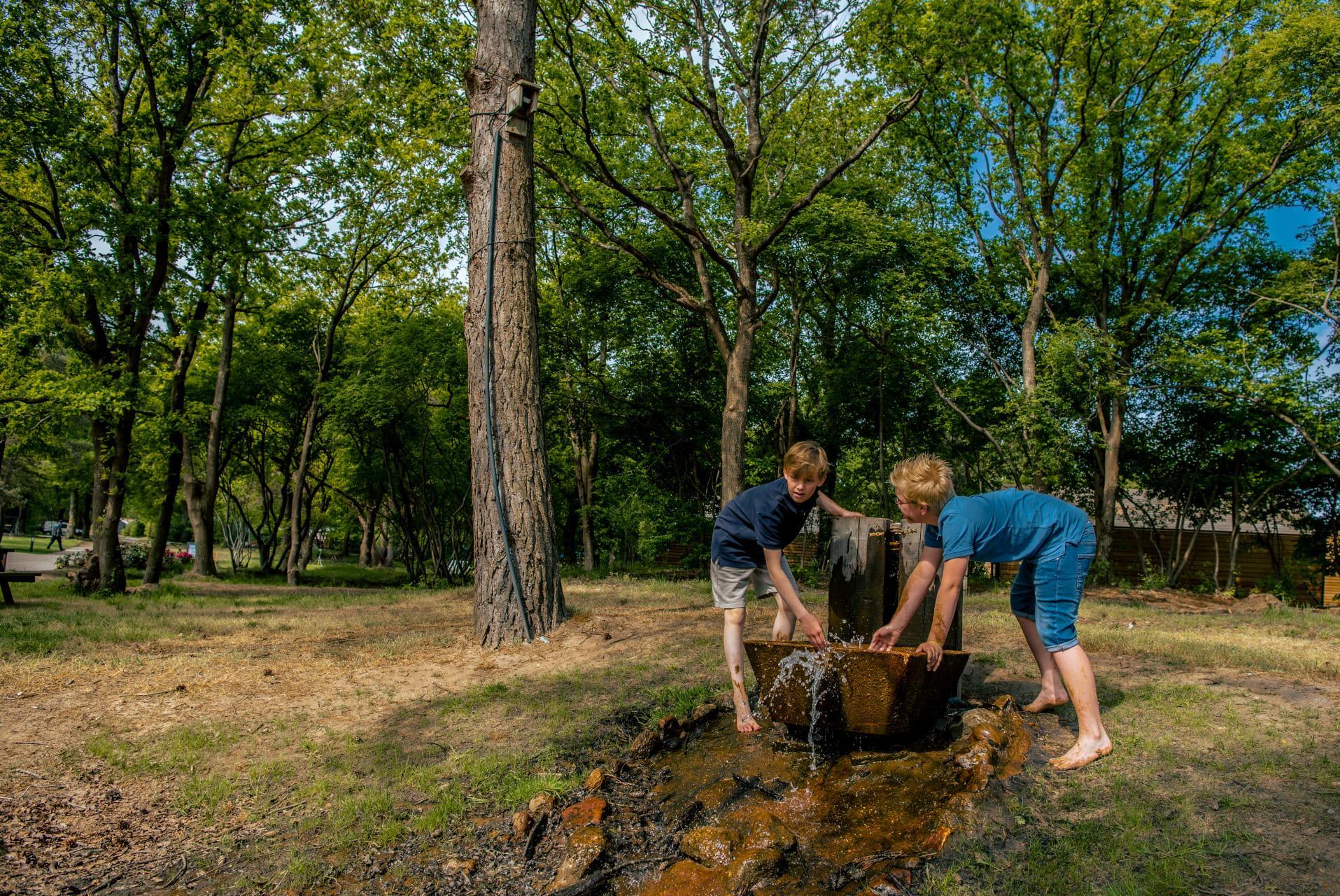 Unterkünfte Ruinen - Camping Stellplatz - Stellplatz Komfort Privatsanitär - 14