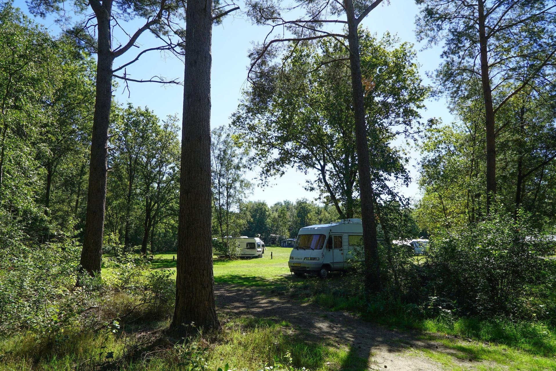 Unterkünfte Ruinen - Camping Stellplatz - Stellplatz Komfort - 6