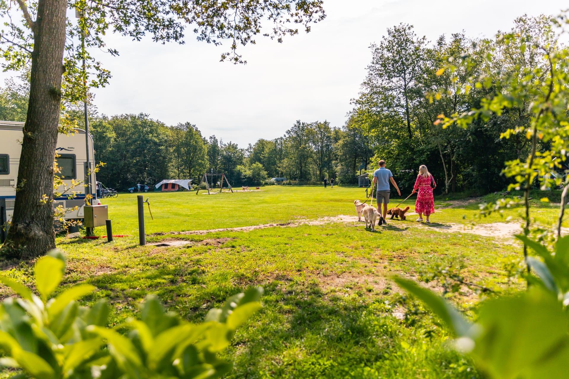 Unterkünfte Ruinen - Camping Stellplatz - Stellplatz Komfort - 10