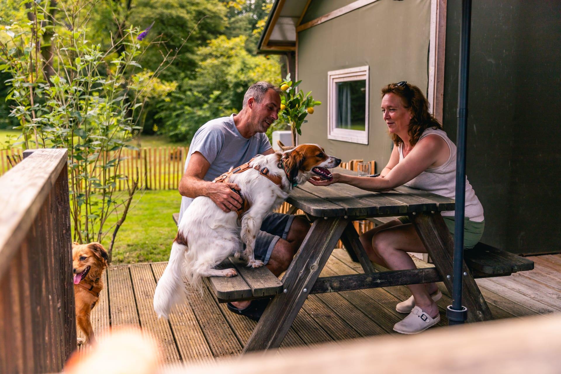 Unterkünfte Ruinen - Glamping-Zelt - Dog Lodge 6 - 7