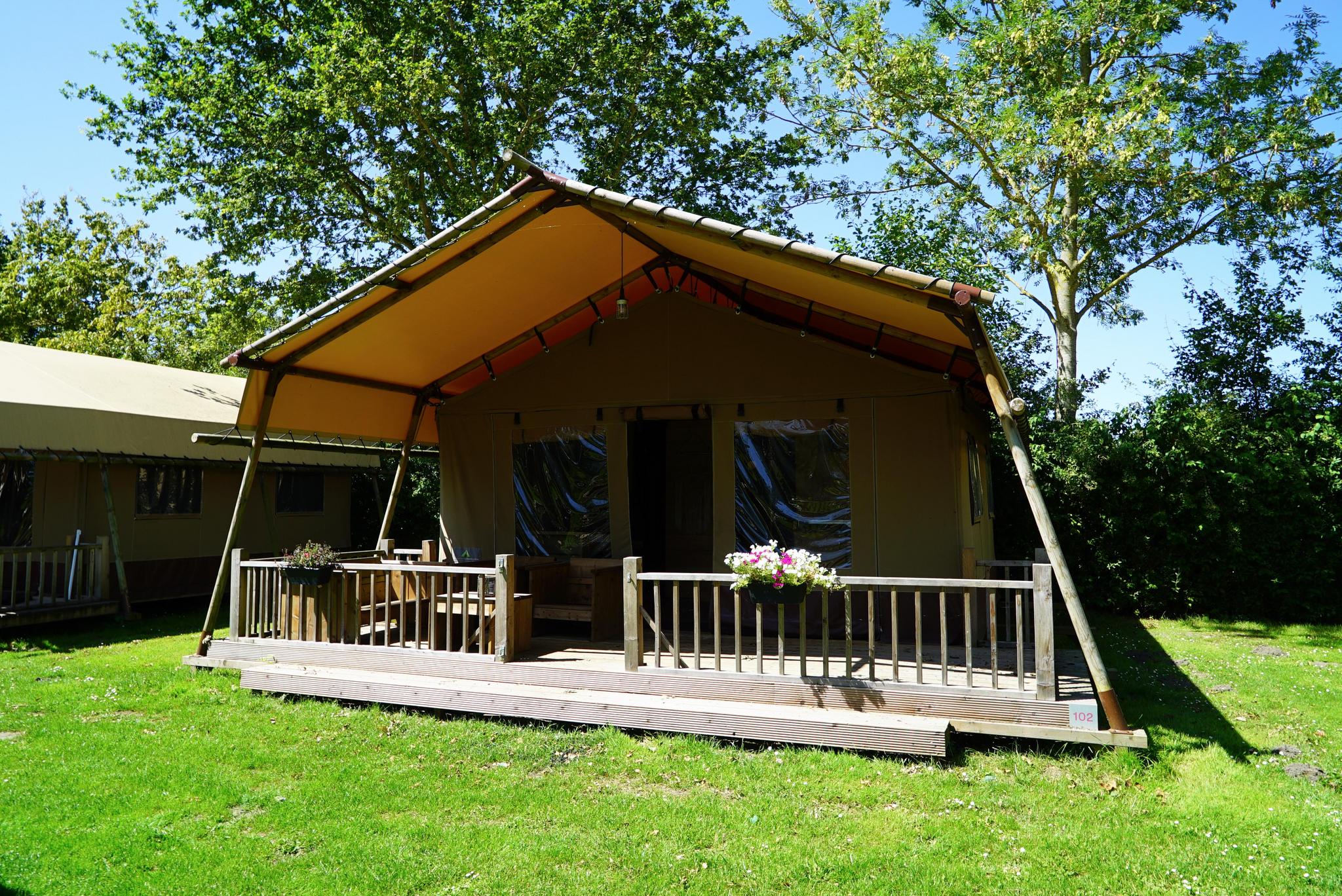 Accommodation Molengroet - Glamping tent - Glampingtent Desert 4 - 13