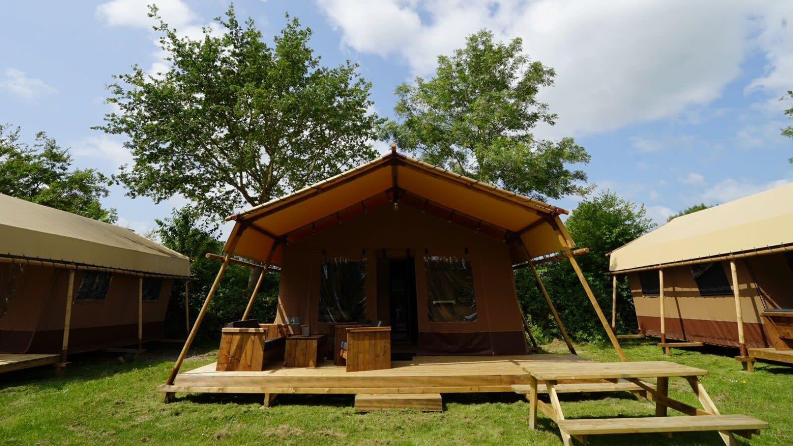 Accommodation Molengroet - Glamping tent - Glampingtent Desert 4 - 3