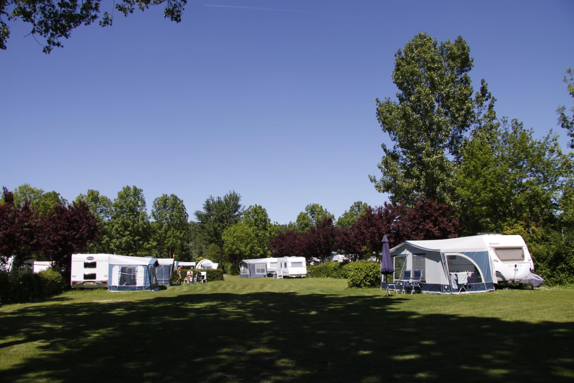 Accommodation Molengroet - Camping pitch - Camping pitch Standard - 4