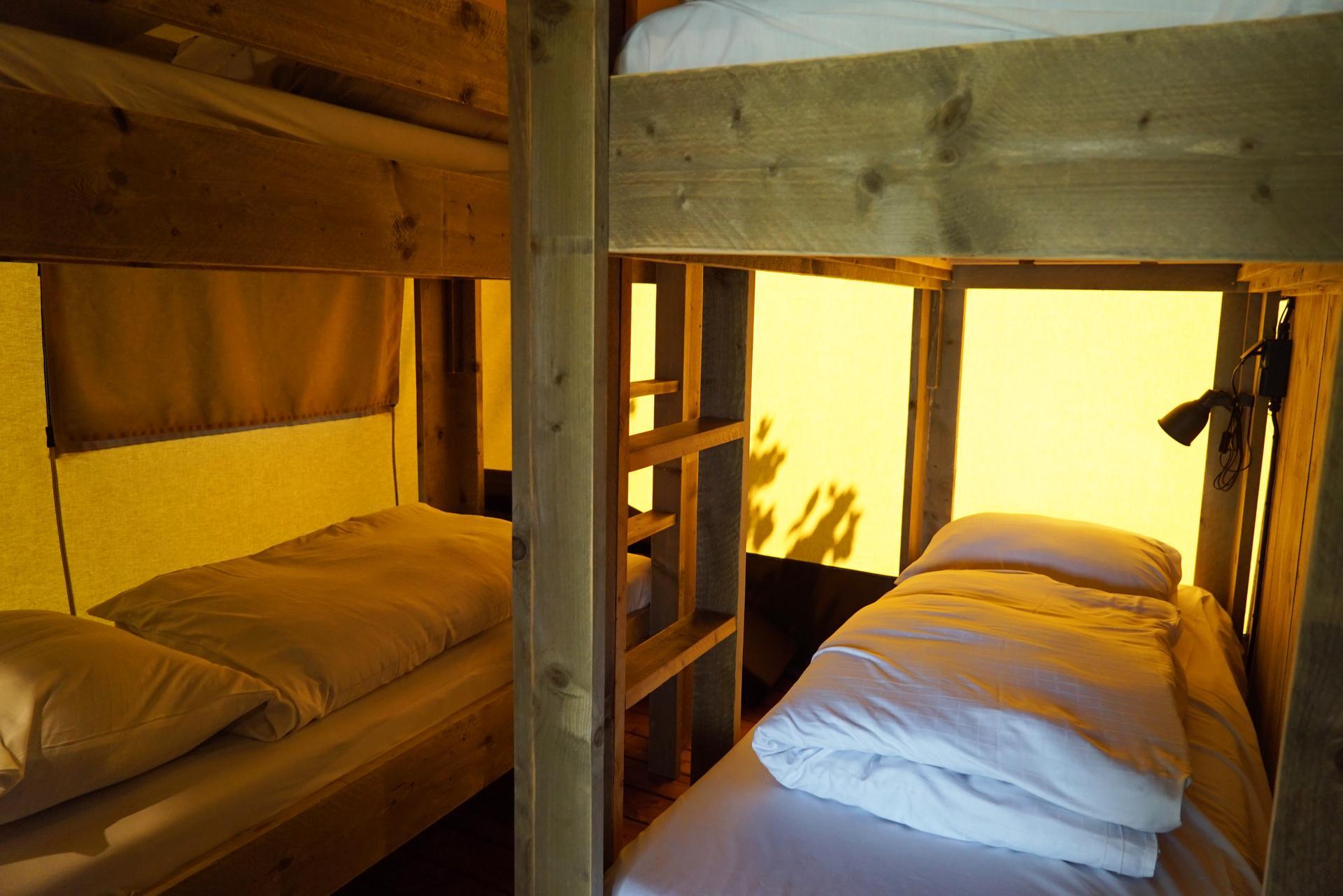 Accommodation Molengroet - Glamping tent - Safaritent 6 - 15