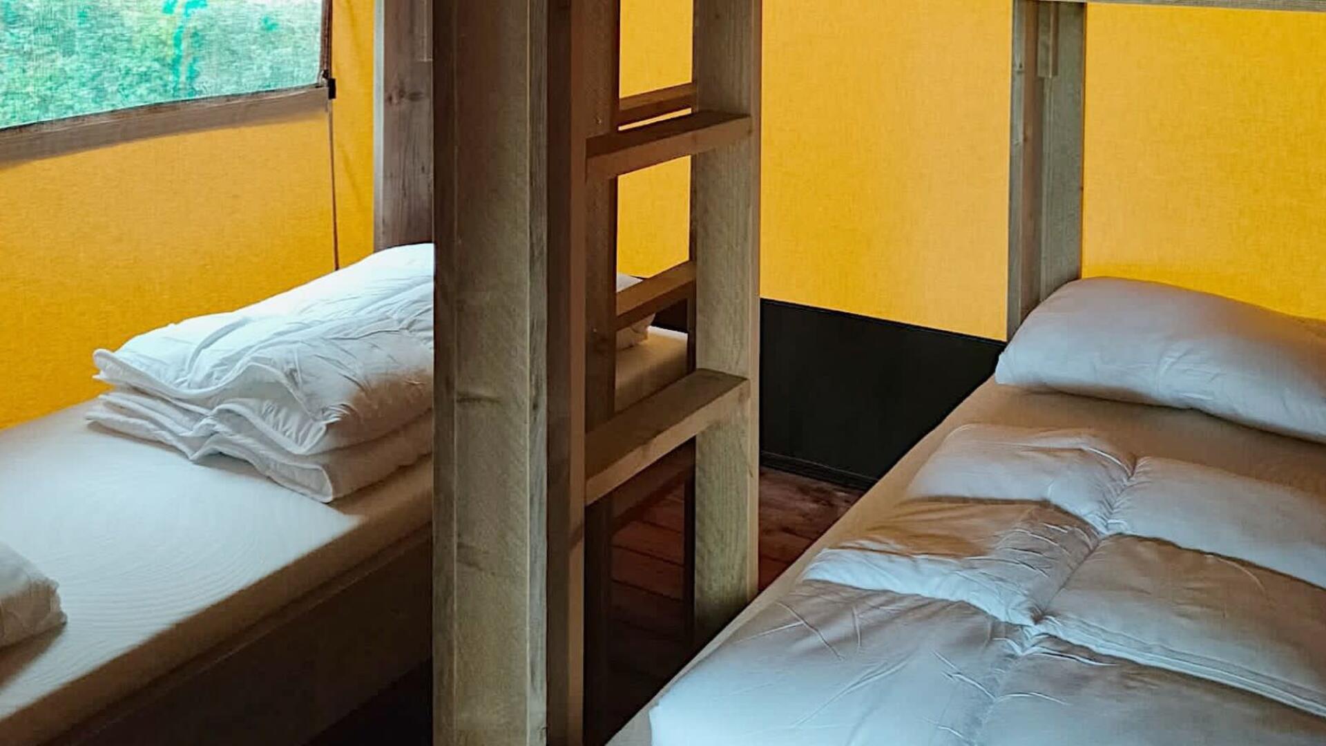 Accommodation Molengroet - Glamping tent - Safaritent 6 - 8