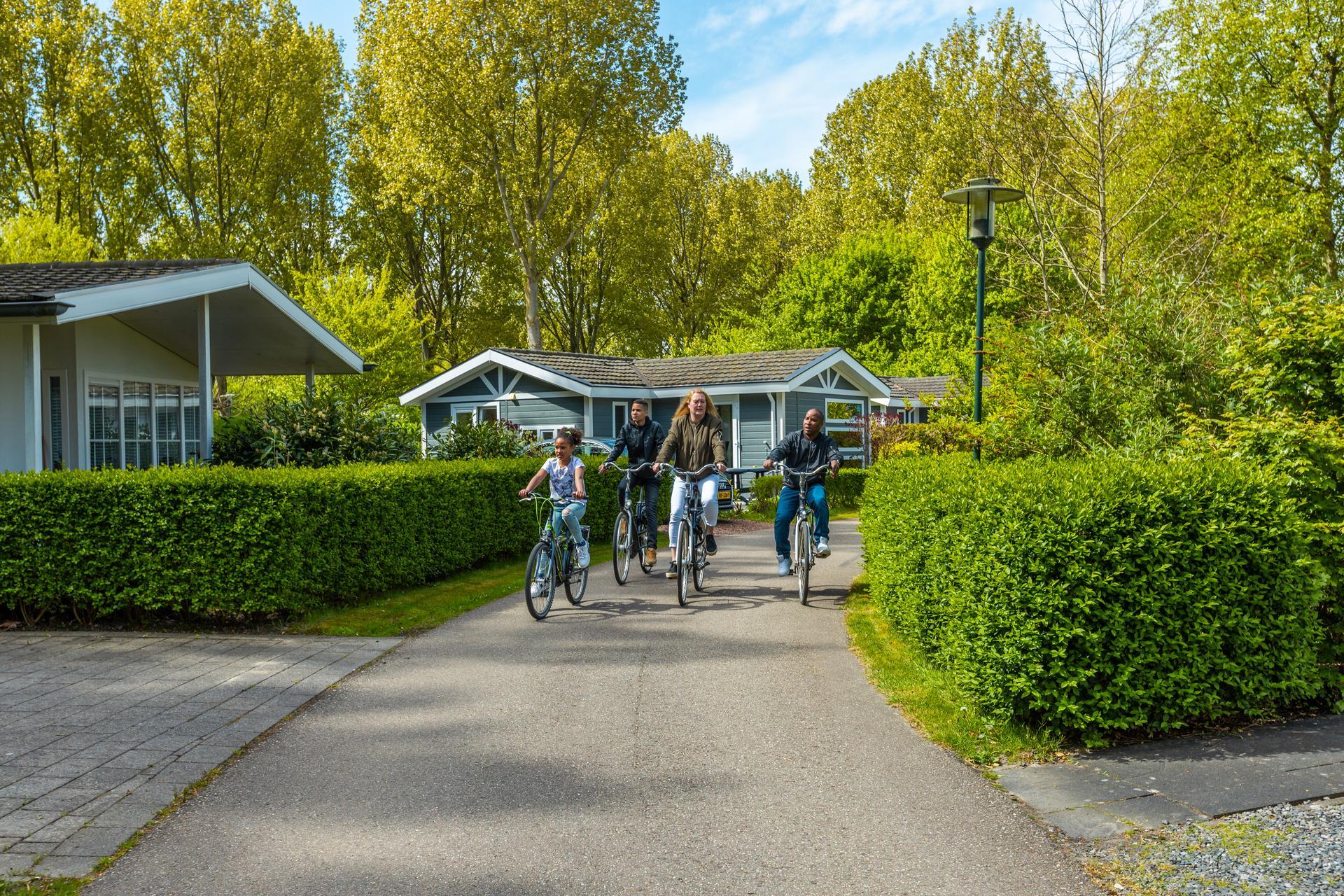 Accommodation Molengroet - Chalet - Exclusif 6 - 13
