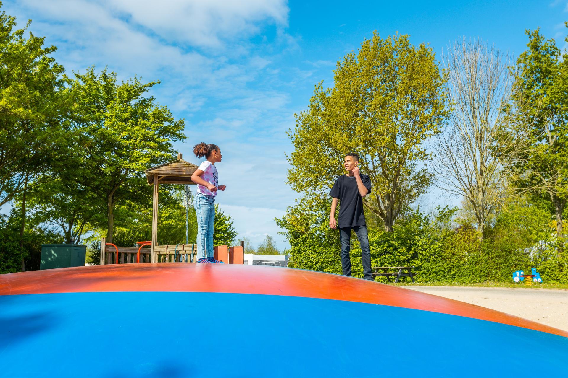 Accommodation Molengroet - Camping pitch - Camping pitch Comfort - 12