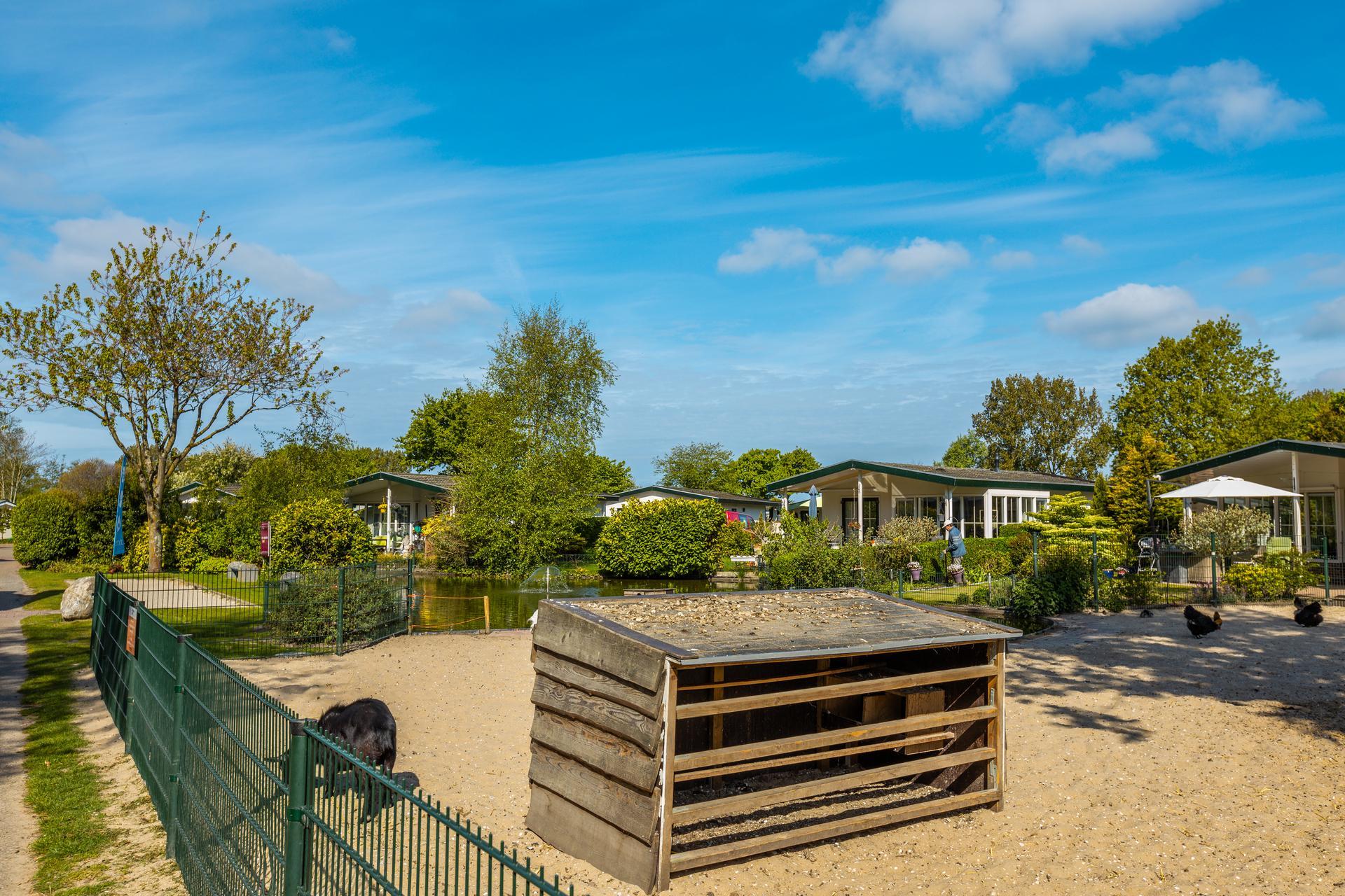Accommodation Molengroet - Camping pitch - Camping pitch Standard - 10