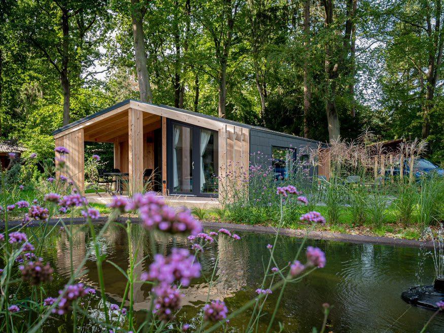 Accommodatie De Hooge Veluwe - Chalet - Panorama Cottage 4 - 10