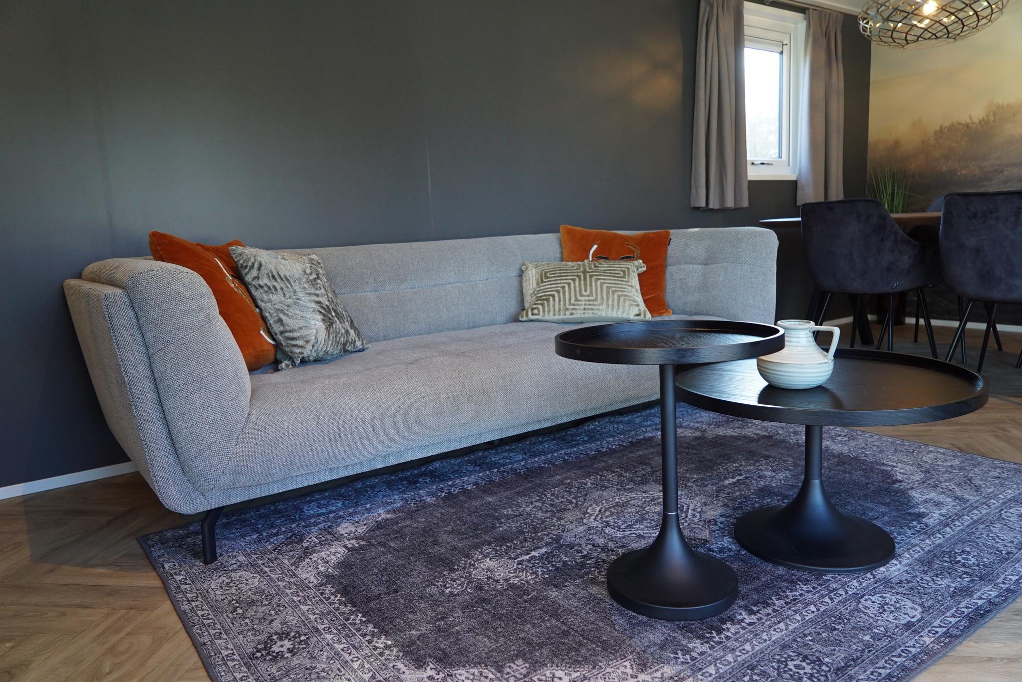 Accommodatie De Hooge Veluwe - Chalet - Velthorst 4 - 6