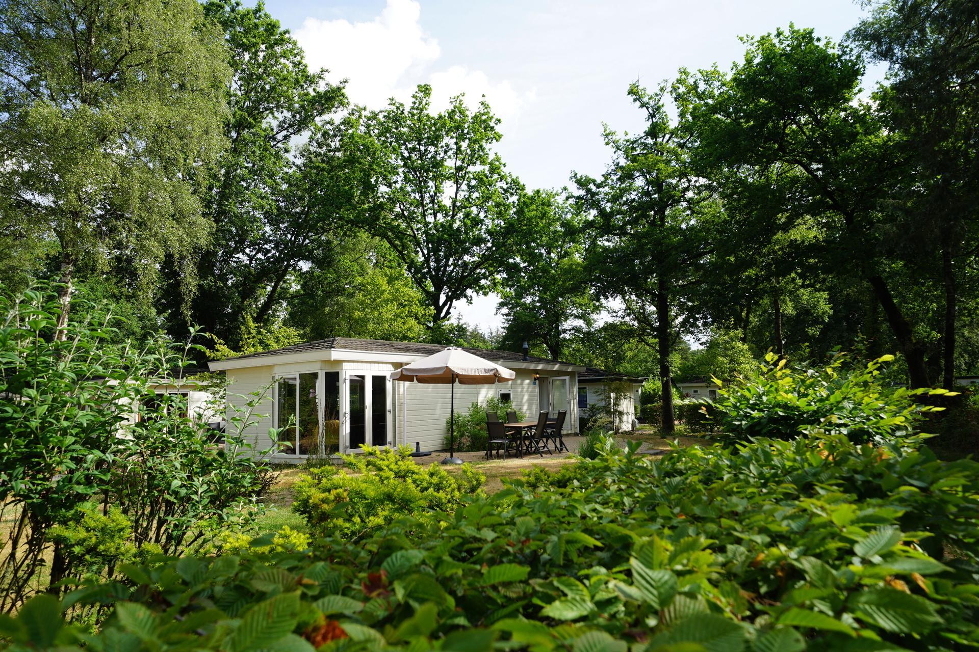 Accommodatie De Hooge Veluwe - Chalet - Exclusif 6 - 3