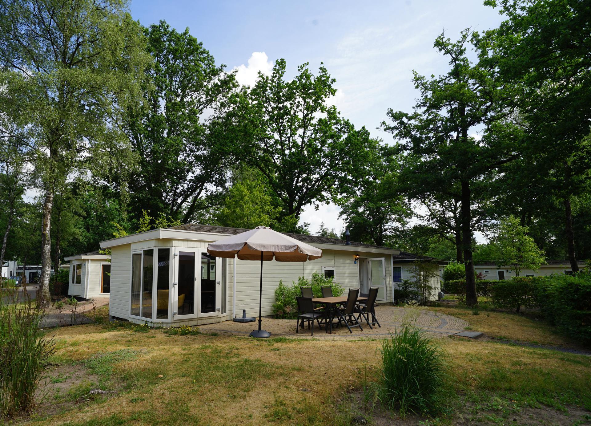 Accommodatie De Hooge Veluwe - Chalet - Exclusif 6 - 12