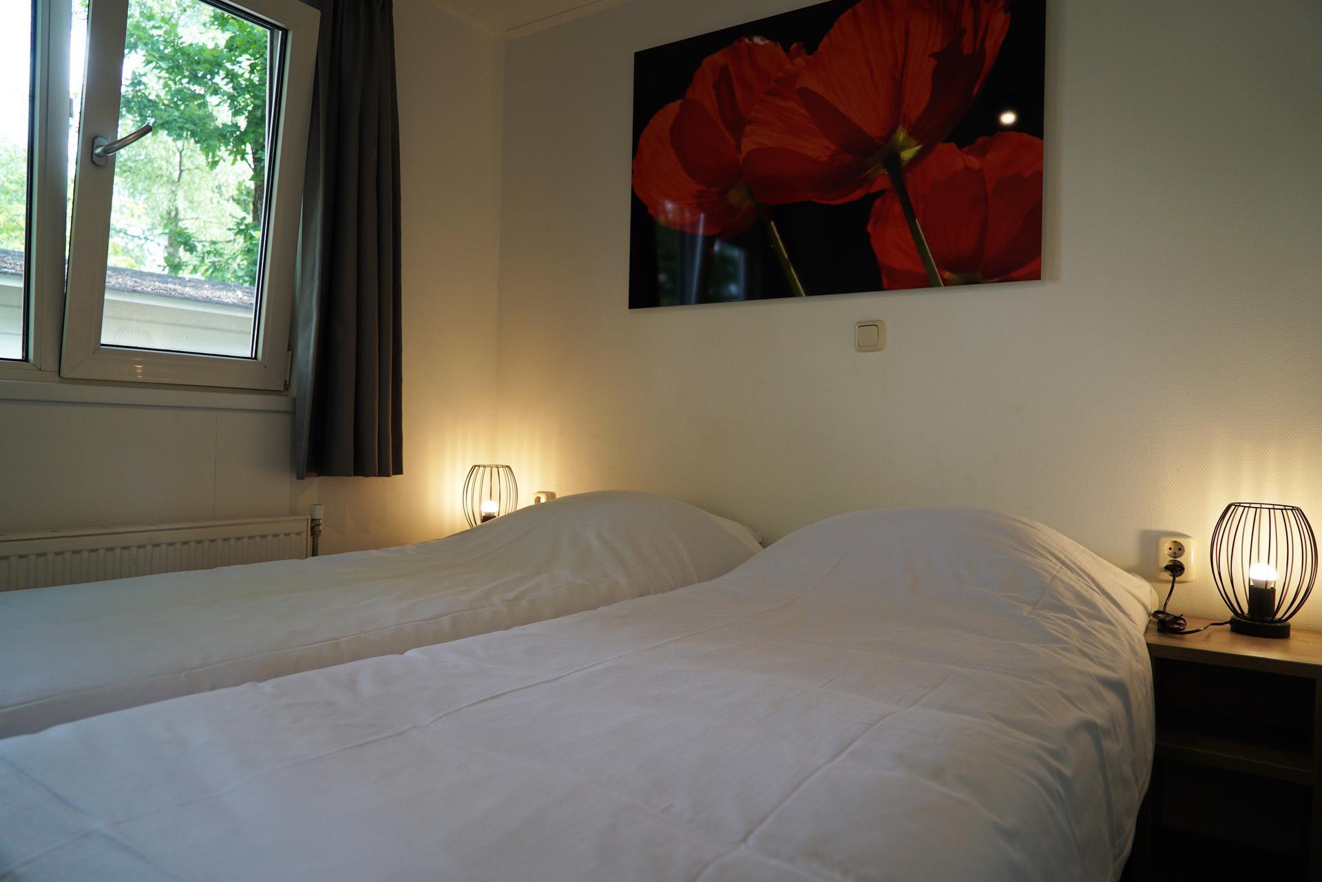 Accommodatie De Hooge Veluwe - Chalet - Exclusif 6 - 10