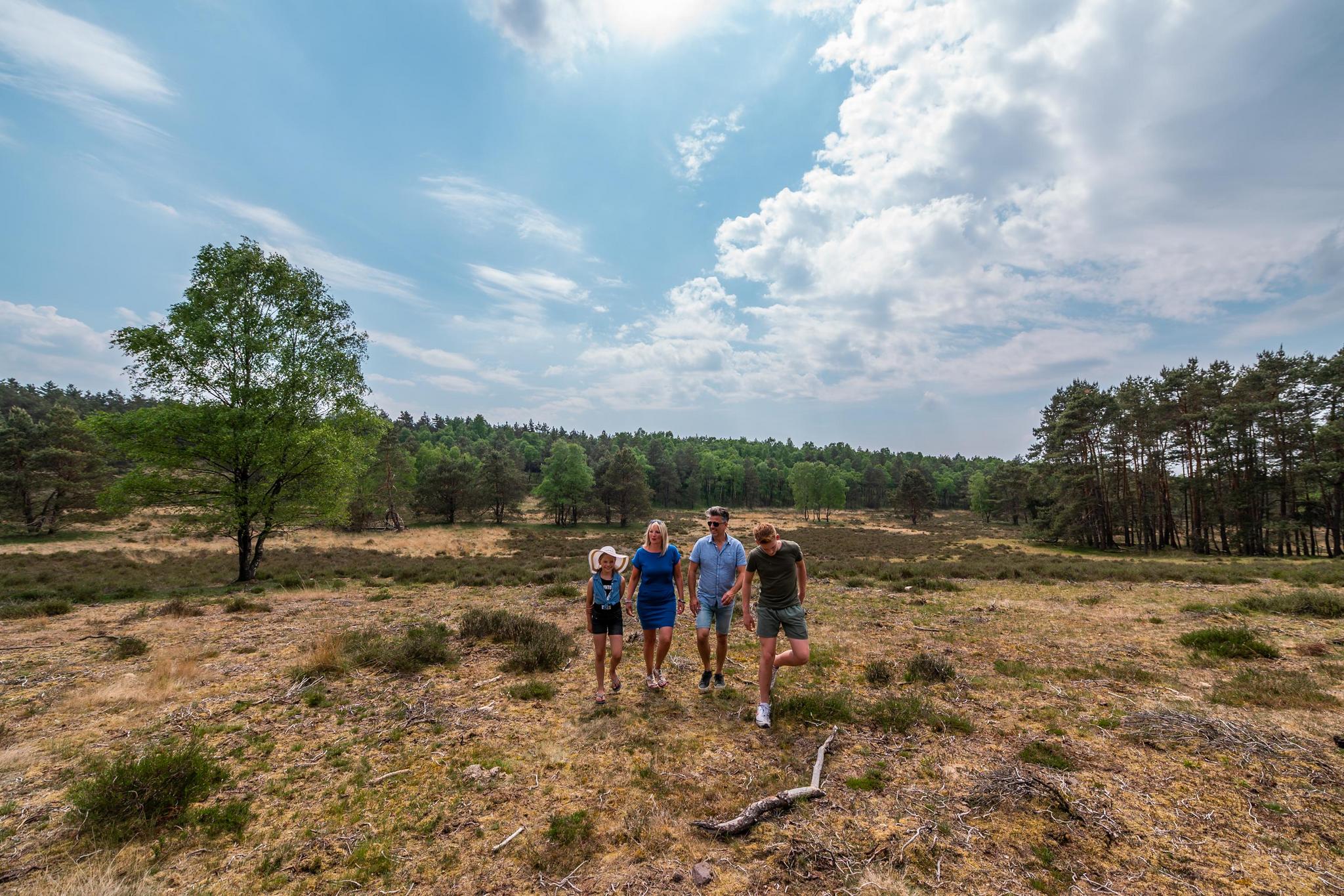 Accommodatie De Hooge Veluwe - Chalet - Cube Split 6 - 16