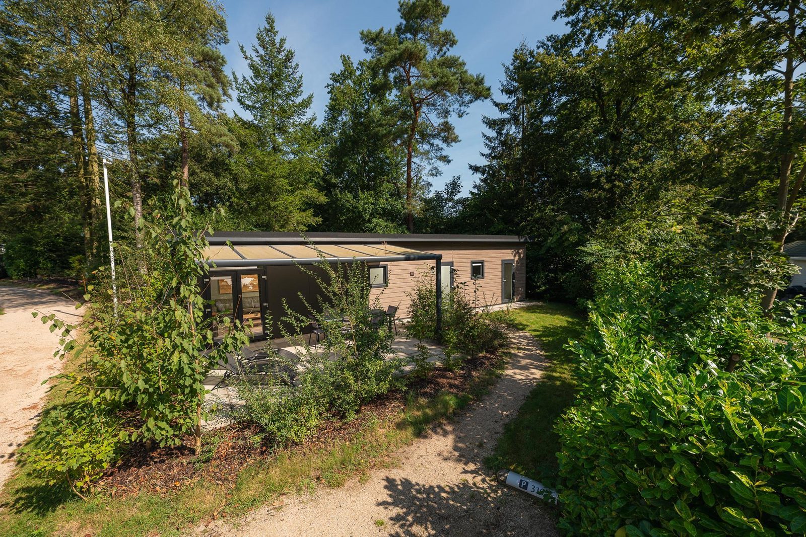Bos Lodge | 5 personen in Nederland