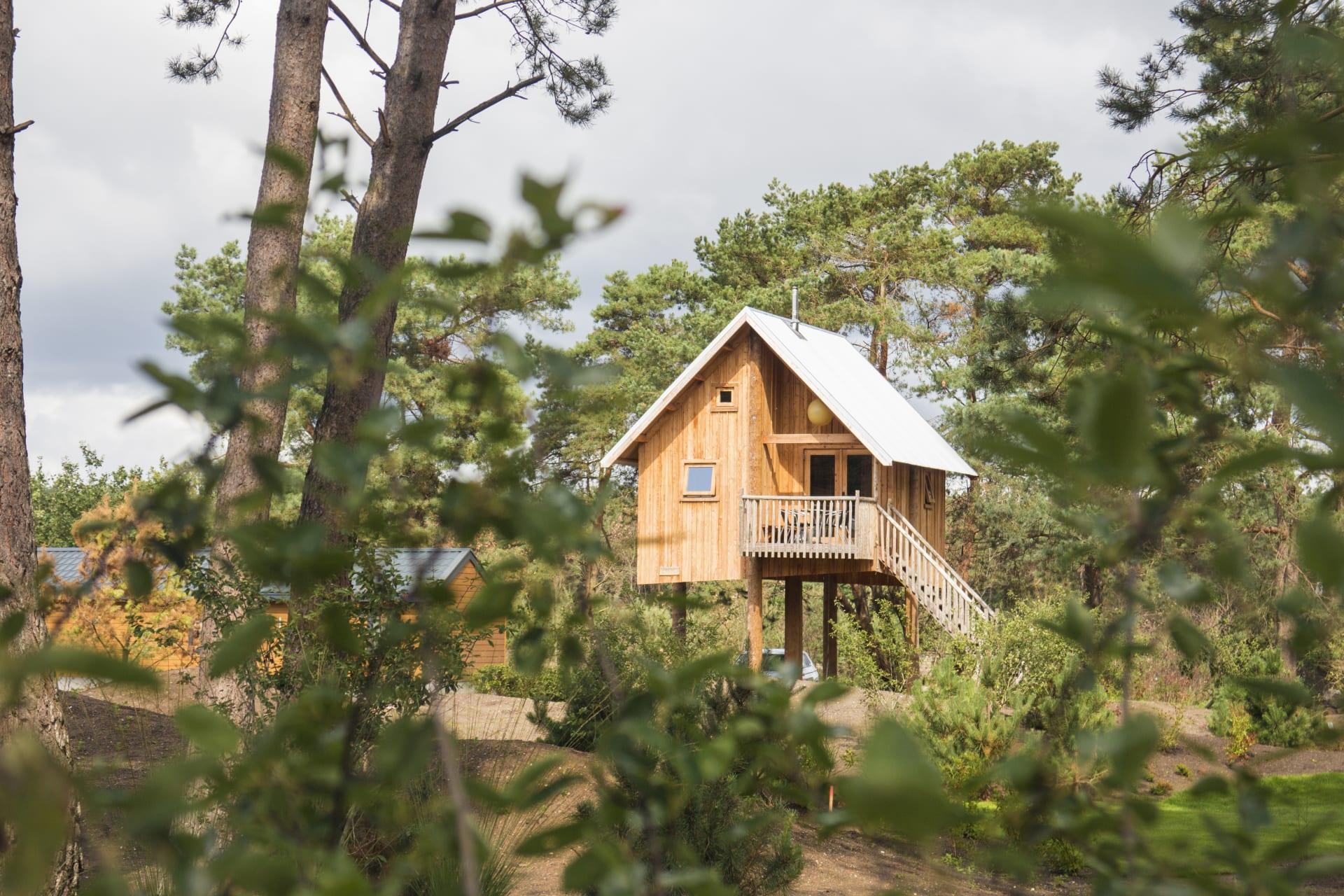 Accommodatie De Wije Werelt - Bijzondere accommodatie - Zwerfhut op hoogte 5 - 4