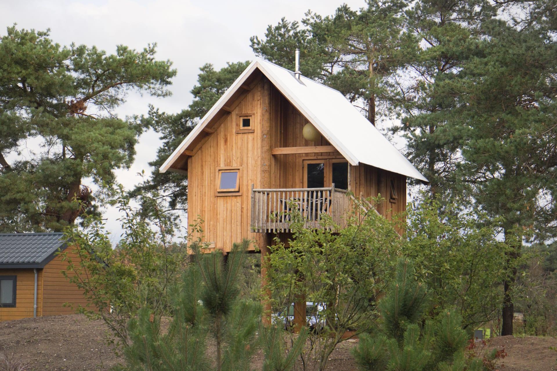 Accommodatie De Wije Werelt - Bijzondere accommodatie - Zwerfhut op hoogte 5 - 14