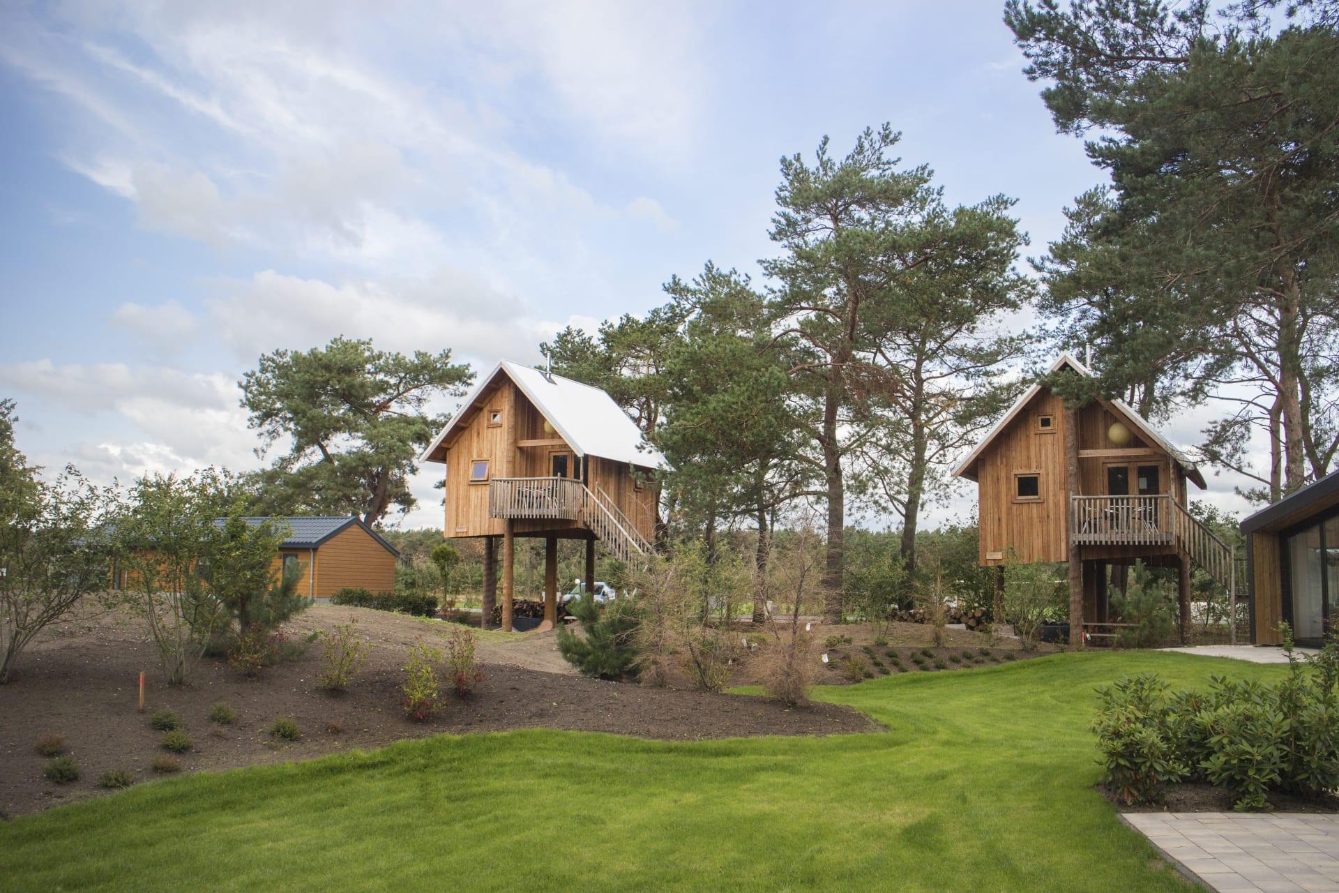 Accommodatie De Wije Werelt - Bijzondere accommodatie - Zwerfhut op hoogte 5 - 13