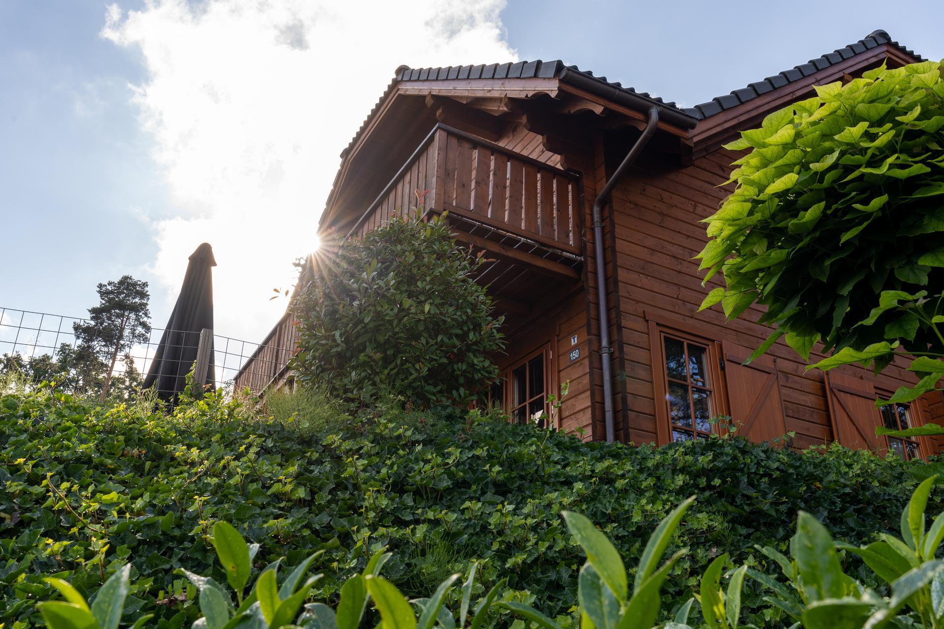 Accommodatie Brunssummerheide - Grote accommodatie - Boekhorst l'etage 12 - 17