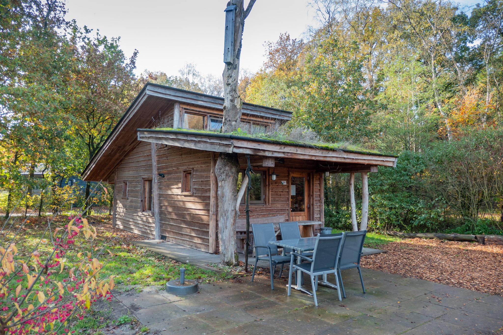 Accommodatie De Wije Werelt - Bijzondere accommodatie - Nature Lodge 6 - 3
