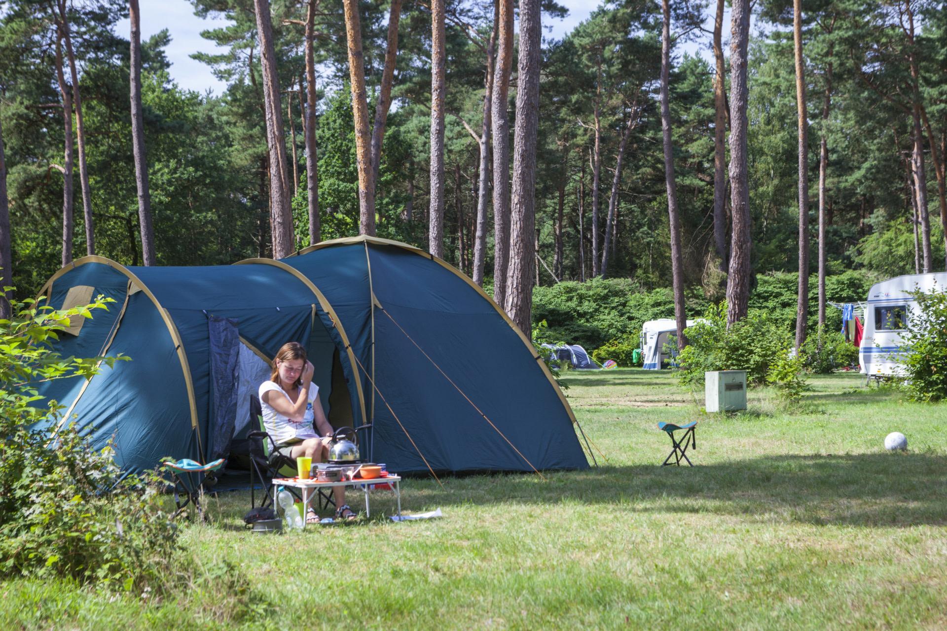 Unterkünfte De Wije Werelt - Camping Stellplatz - Stellplatz Komfort XL Privatsanitär - 7