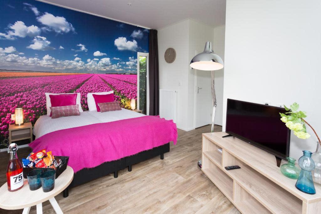 Unterkünfte Buitenhuizen - Hotel-Studio - Comfort Connecting Room 2 - 4