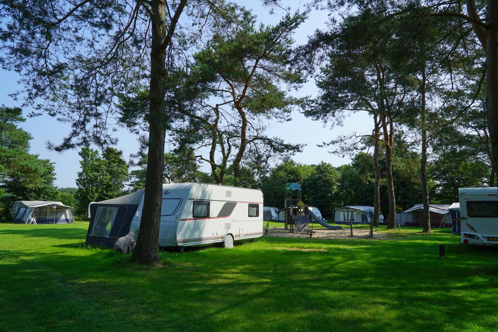 Accommodatie De Wije Werelt - Kampeerplaats - Kampeerplaats Comfort - 5