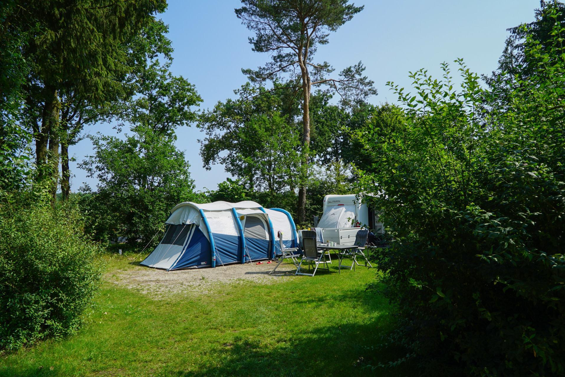 Accommodation De Wije Werelt - Camping pitch - Camping pitch Comfort - 6