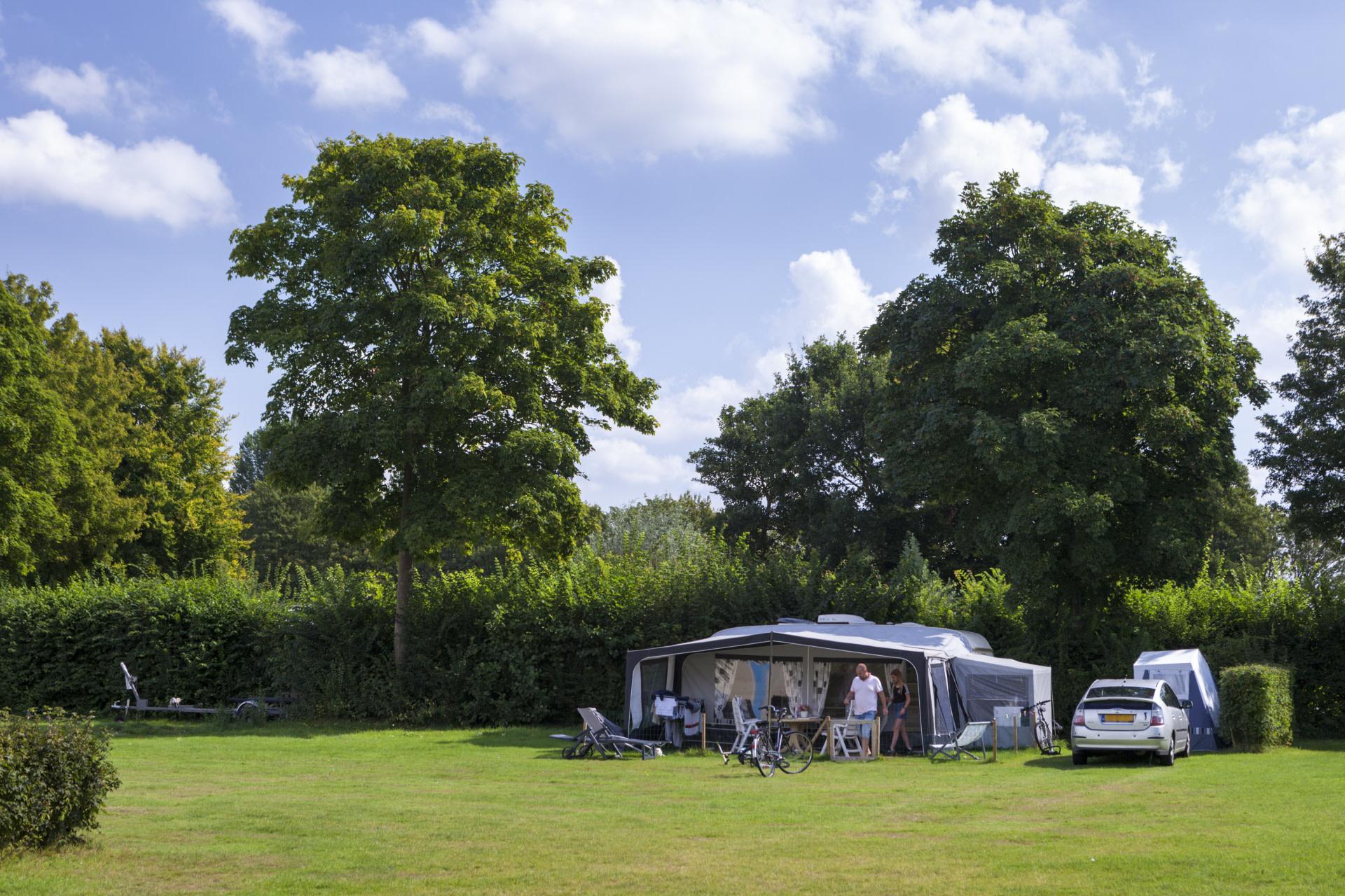 Accommodatie De Wije Werelt - Kampeerplaats - Kampeerplaats Comfort - 11