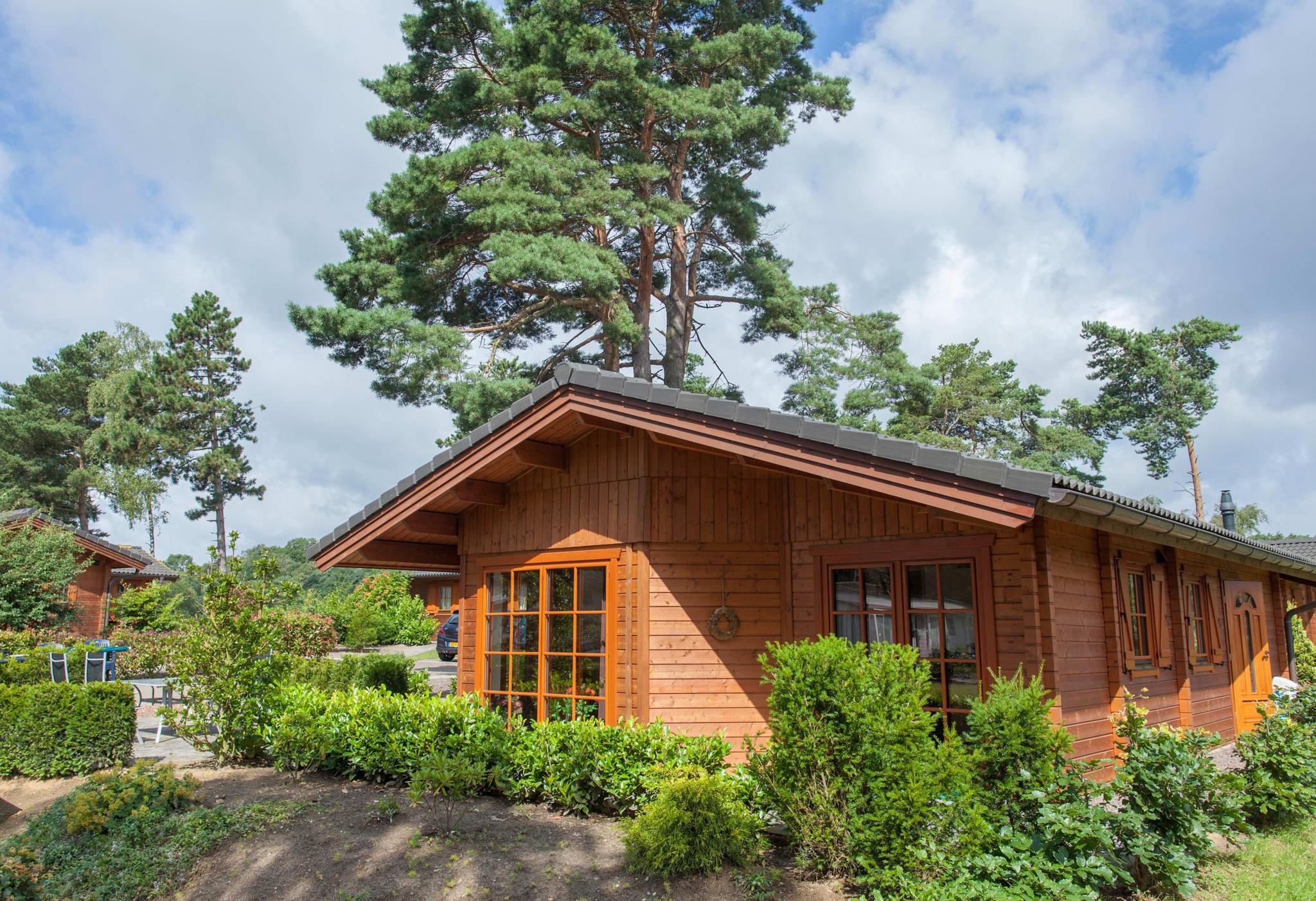 Accommodation Brunssummerheide - Chalet - Boekhorst Royal Sauna 6 - 3