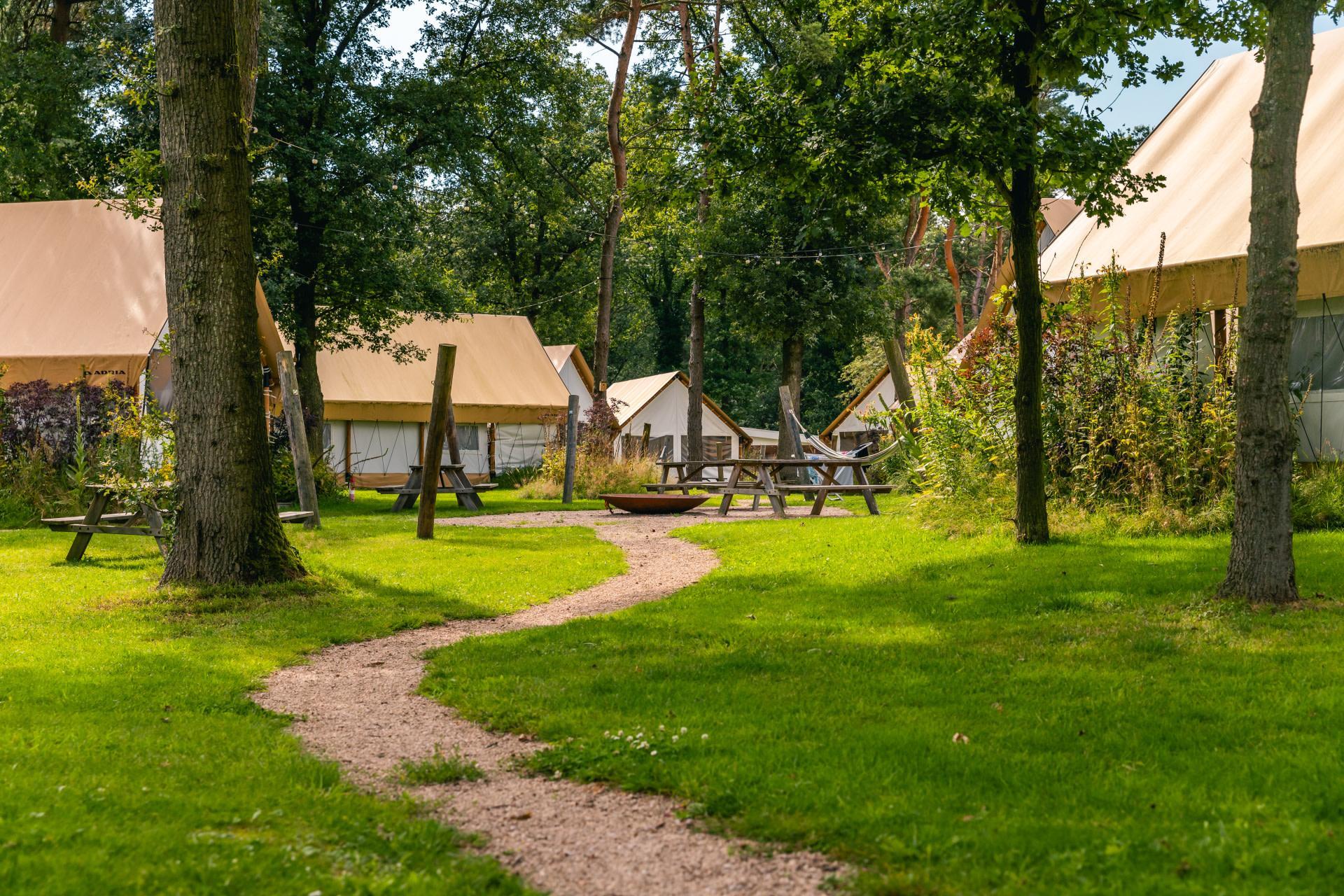 Unterkünfte Reestervallei - Glamping-Zelt - Glampingtent 4 - 6