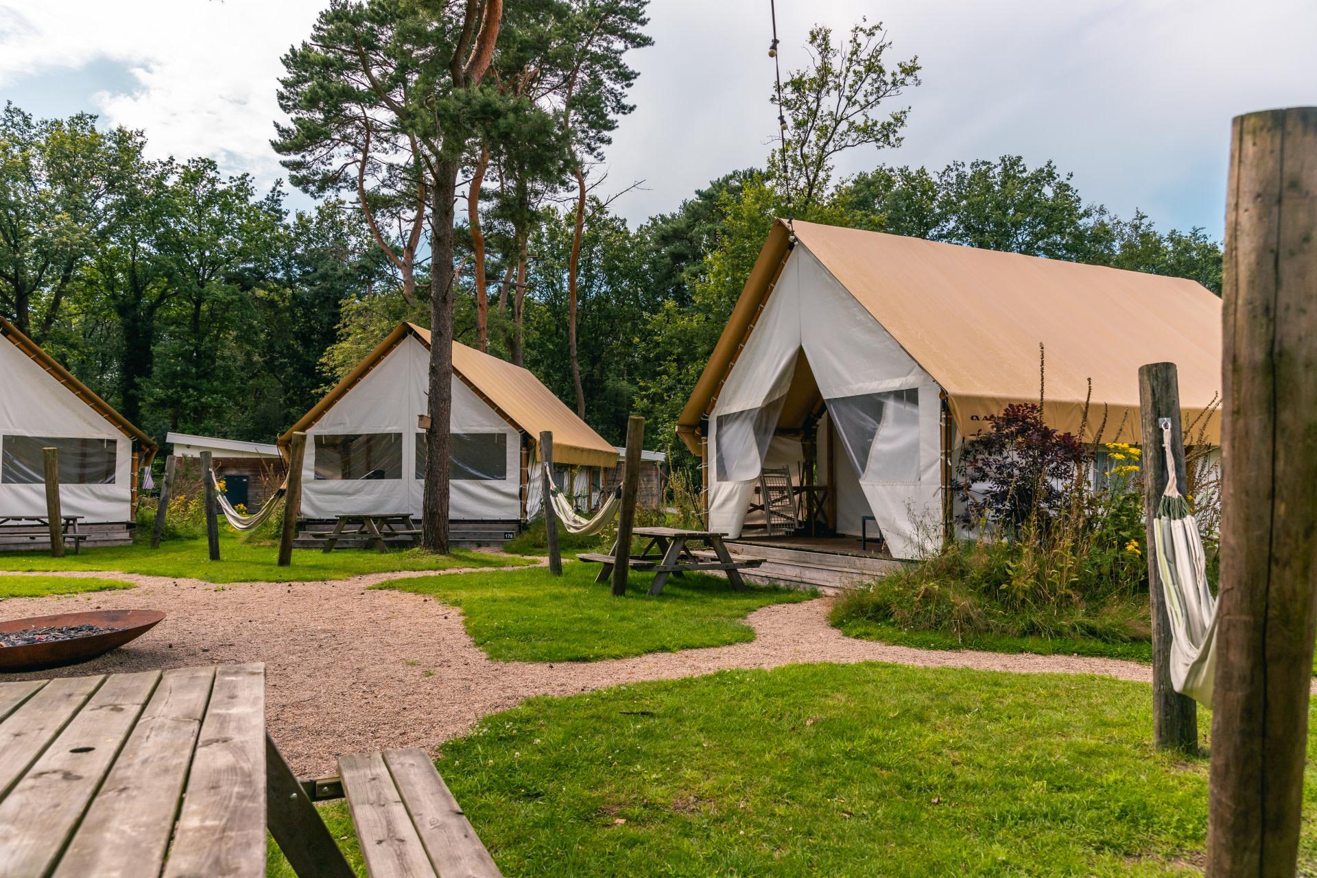 Unterkünfte Reestervallei - Glamping-Zelt - Glampingtent 4 - 13