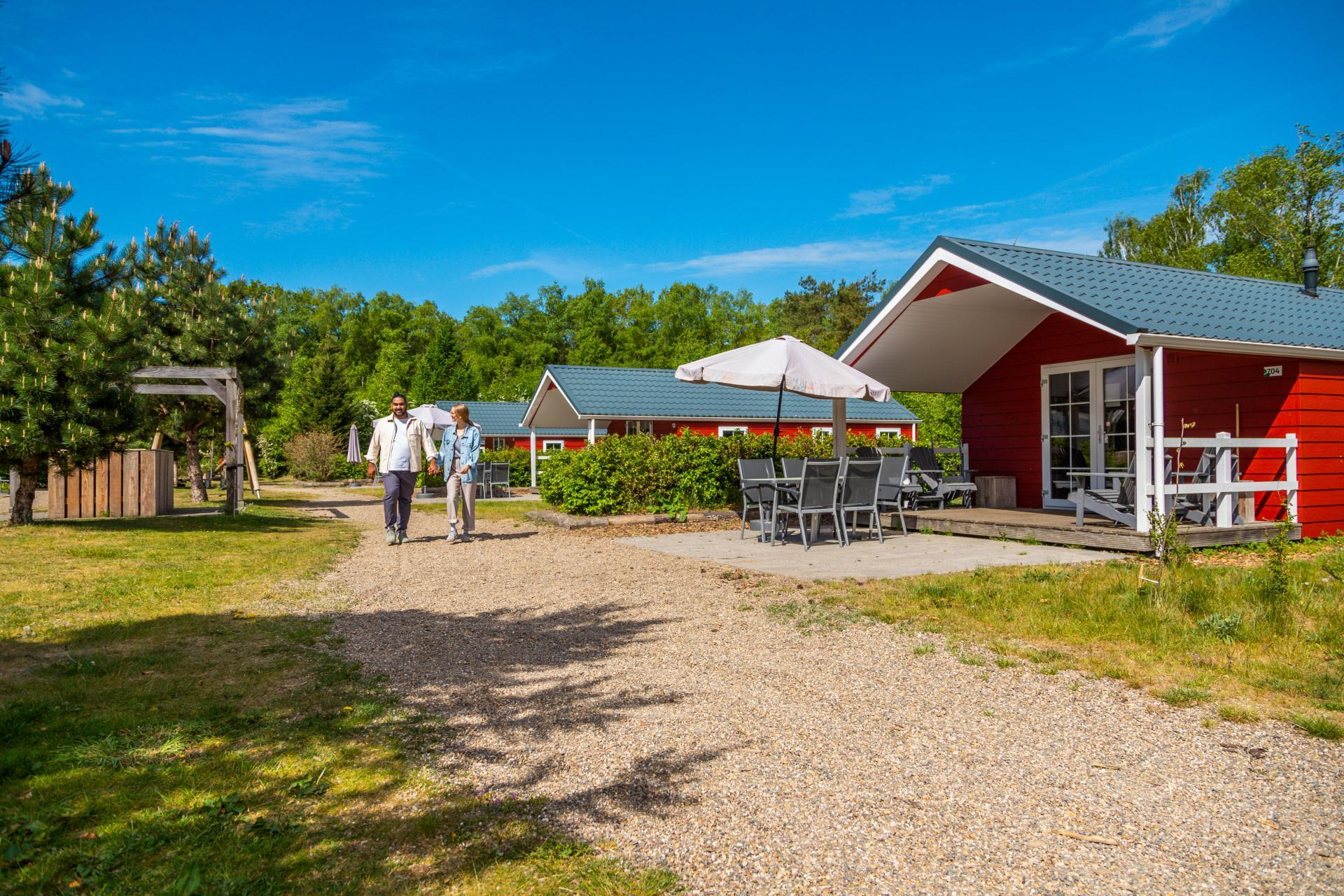 Unterkünfte De Wije Werelt - Chalet - Boslodge 4 - 12