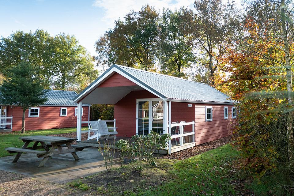 Unterkünfte De Wije Werelt - Chalet - Boslodge 4 - 4