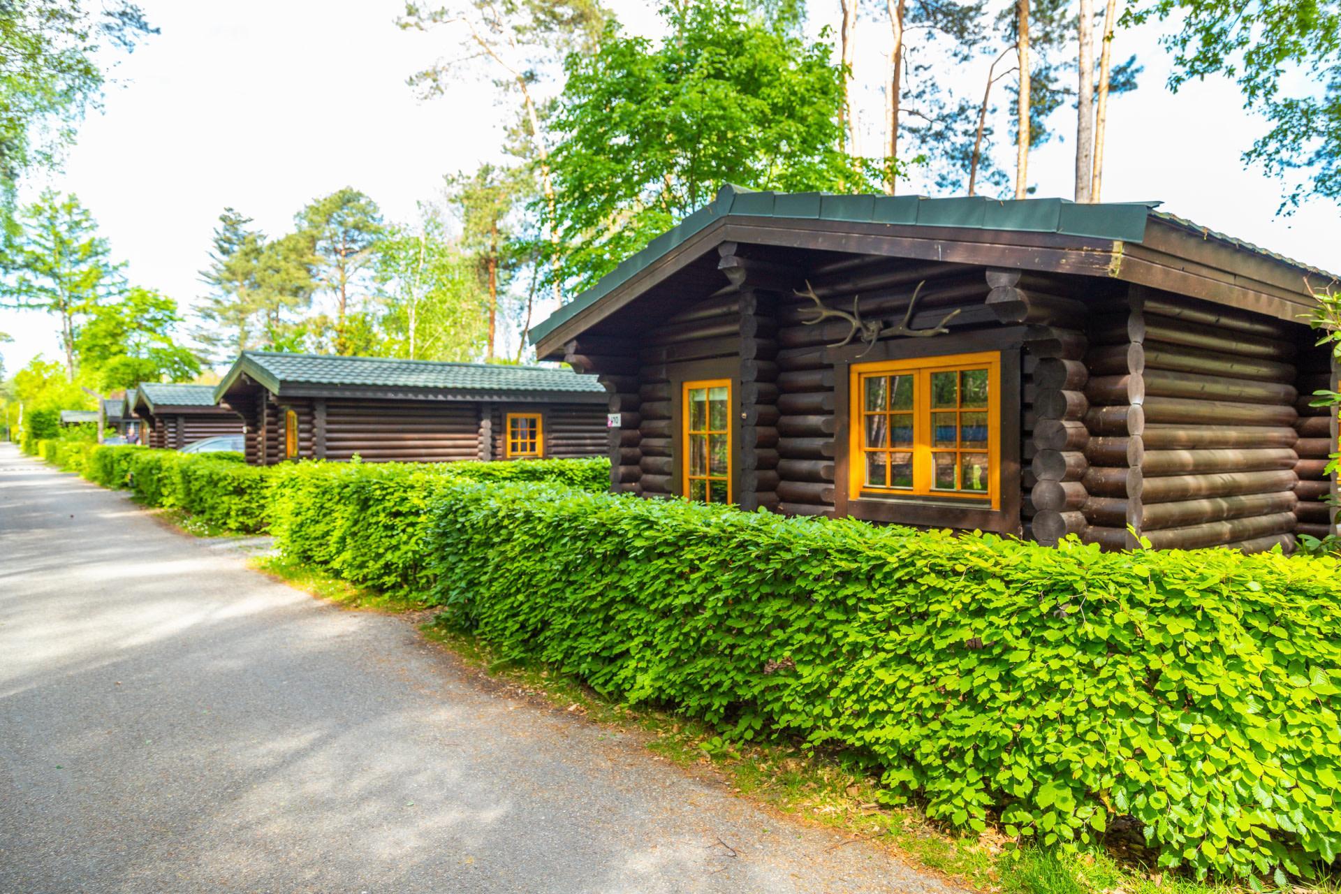 Accommodatie De Wije Werelt - Chalet - Boekhorst 5 - 4