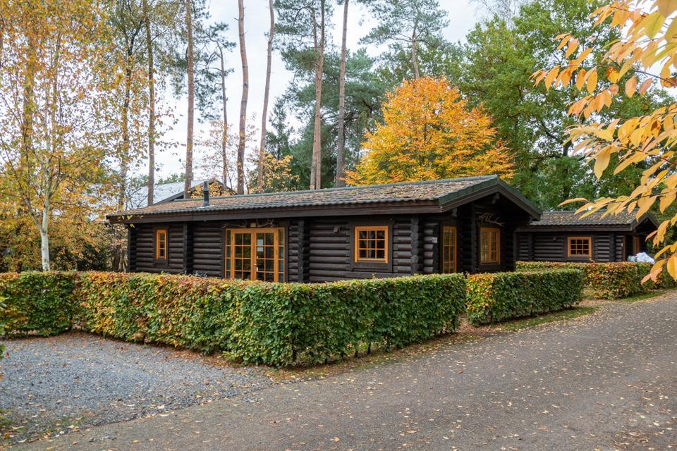 Accommodation De Wije Werelt - Chalet - Boekhorst 4 - 3