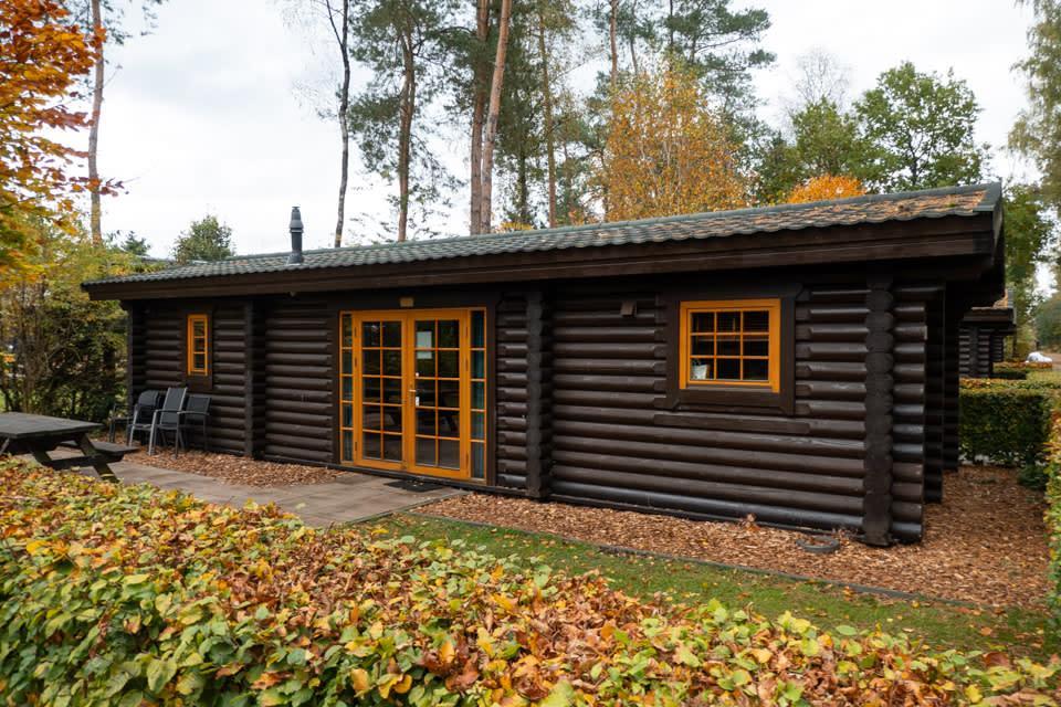 Accommodation De Wije Werelt - Chalet - Boekhorst 4 - 13