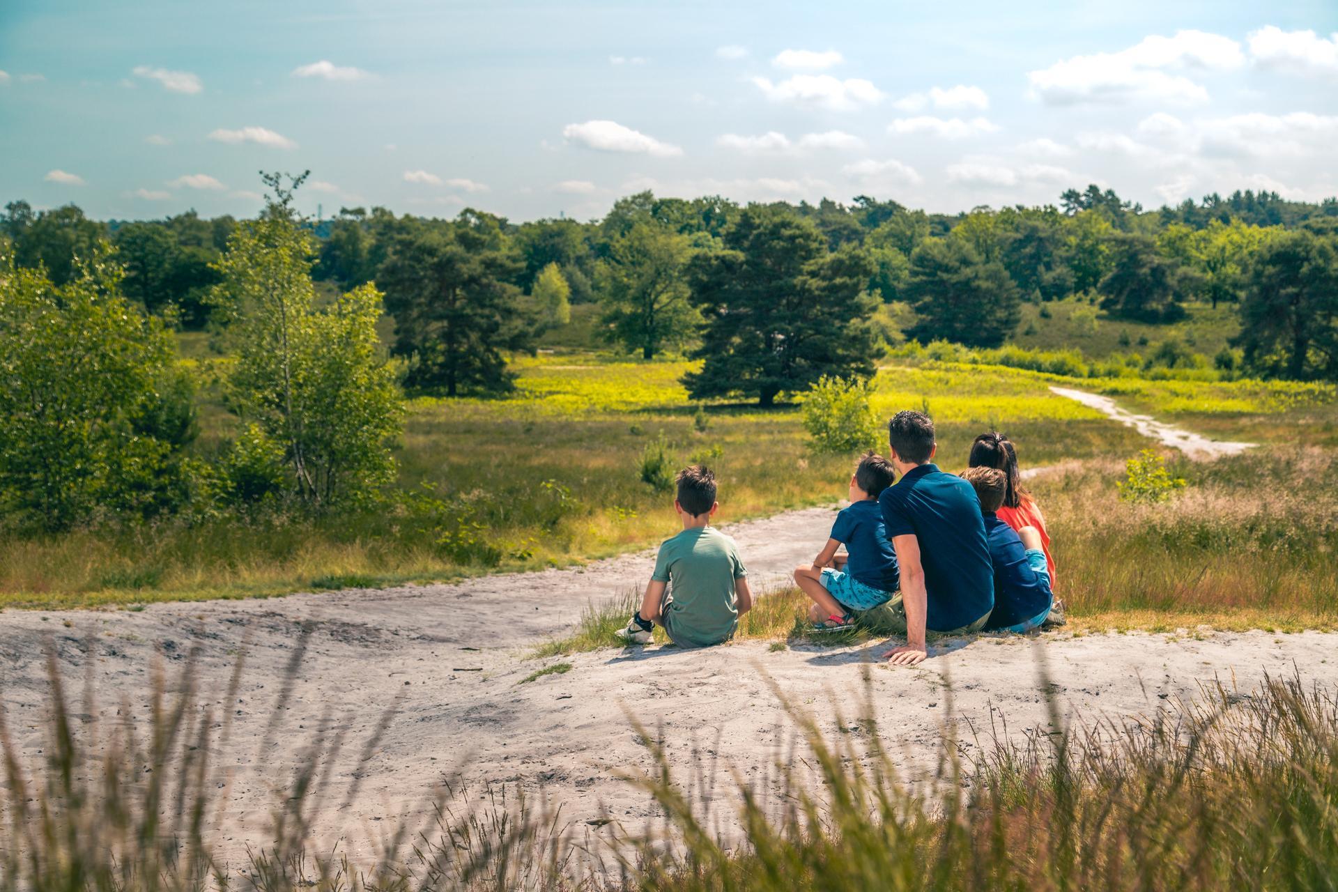 Accommodatie Brunssummerheide - Grote accommodatie - Pavilion l'etage 8 - 12