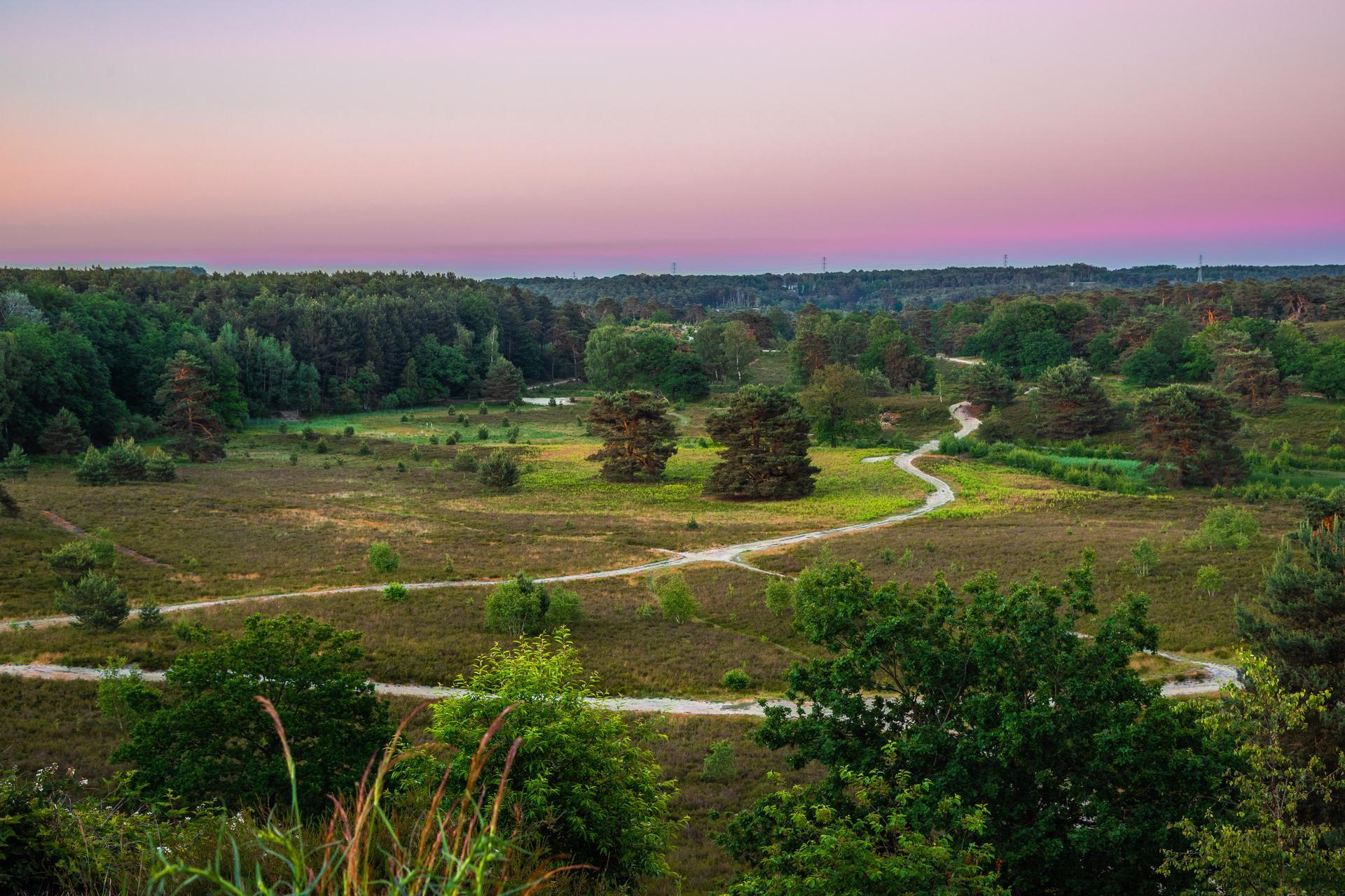 Unterkünfte Brunssummerheide - Chalet - Boekhorst 4 - 10