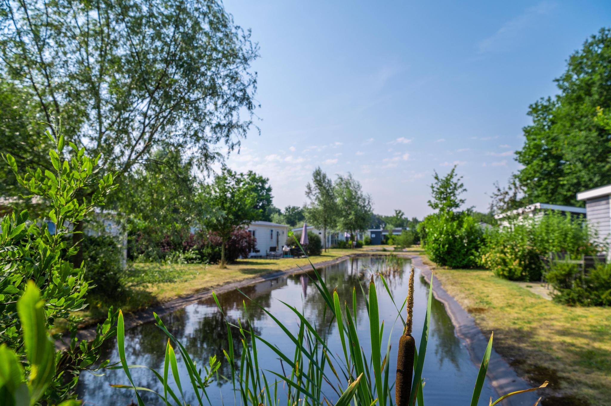 Accommodation Reestervallei - Tiny house - Tiny House 4 - 11