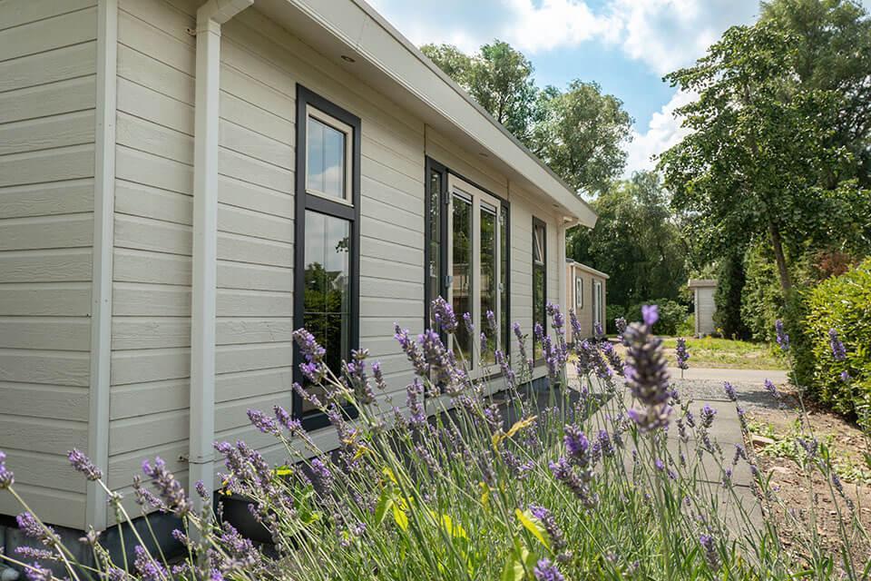 Accommodatie De Biesbosch - Chalet - Hackfort 4 - 4