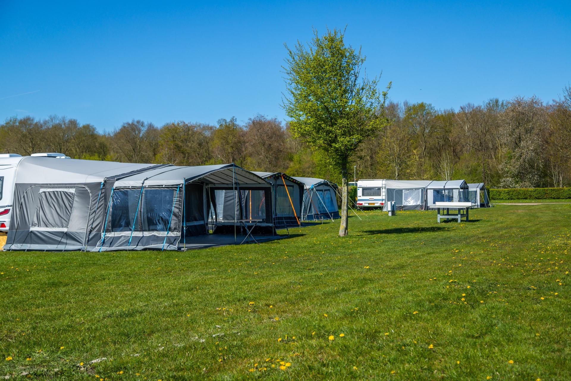 Accommodatie Zuiderzee - Kampeerplaats - Kampeerplaats Standaard - 3