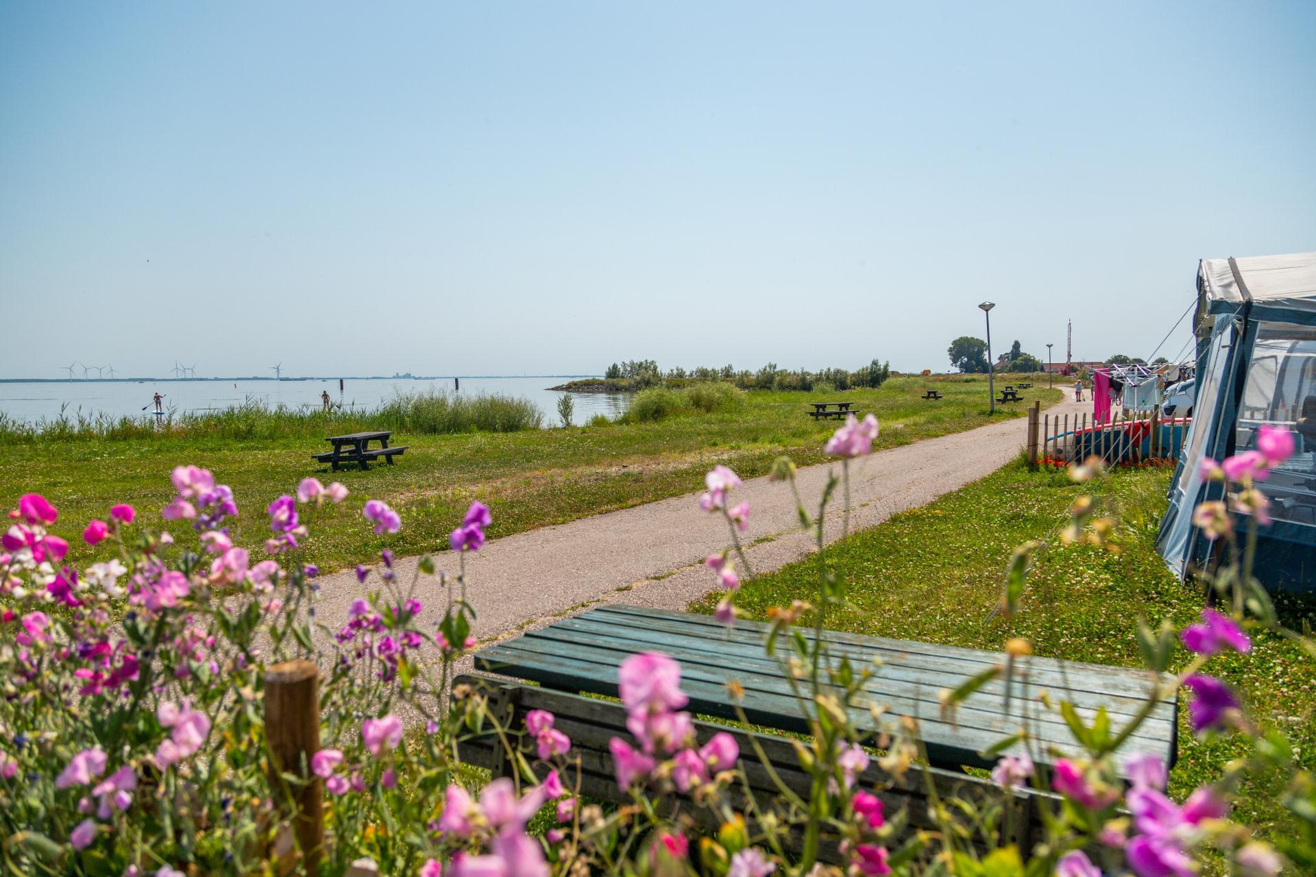 Accommodatie Poort van Amsterdam - Kampeerplaats - Kampeerplaats Comfort - 5