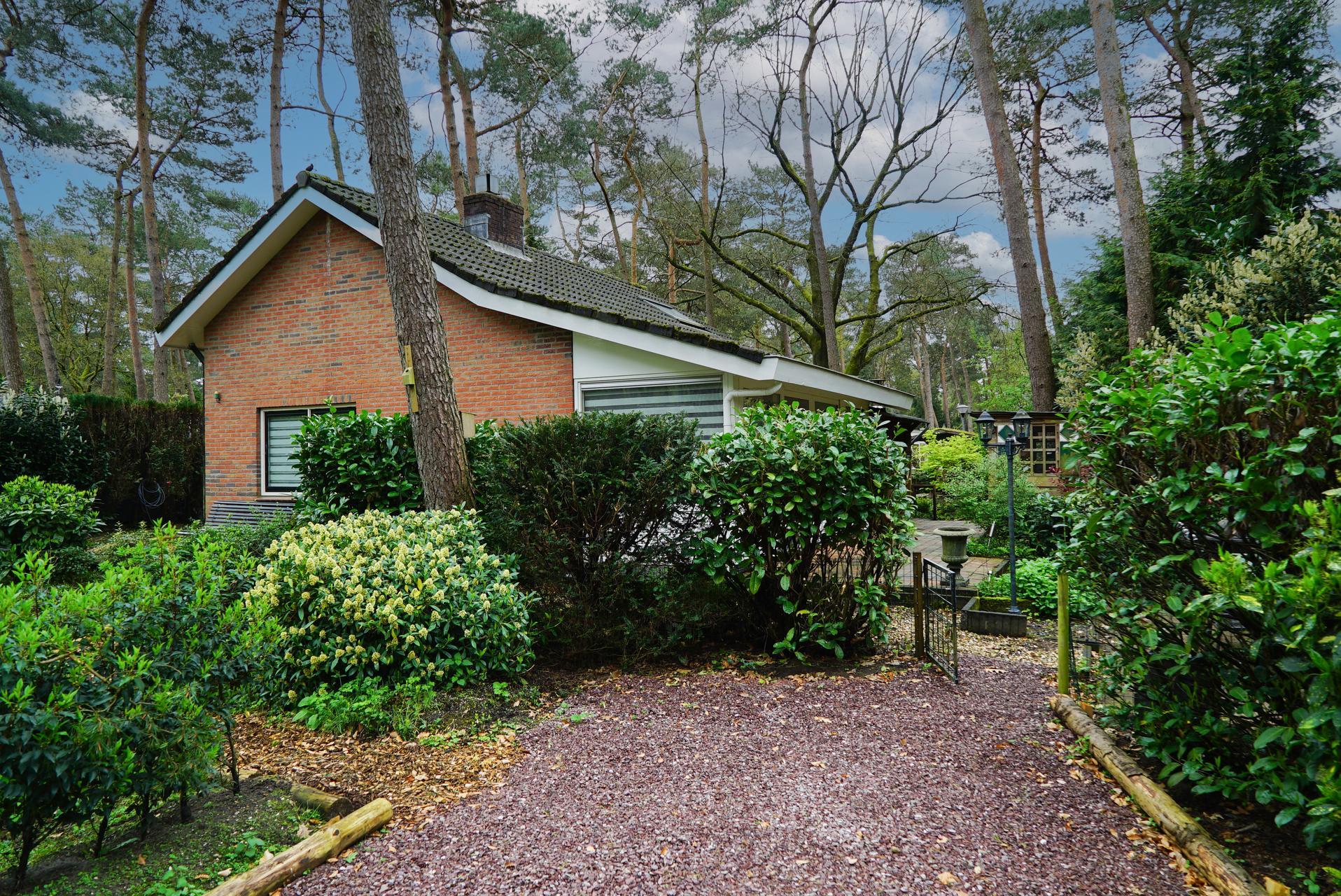 Accommodatie Beekbergen - Vakantiehuis - Boshuis 6 - 3