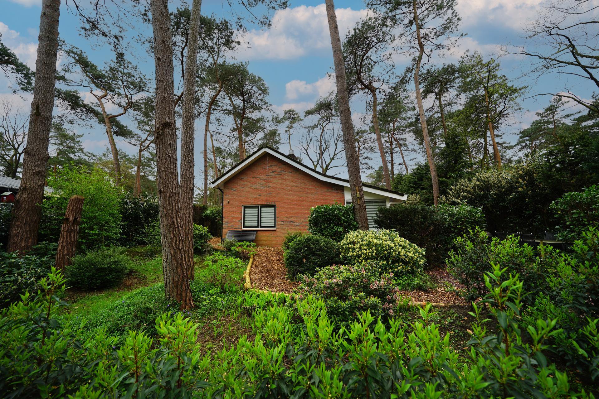 Accommodatie Beekbergen - Vakantiehuis - Boshuis 6 - 17