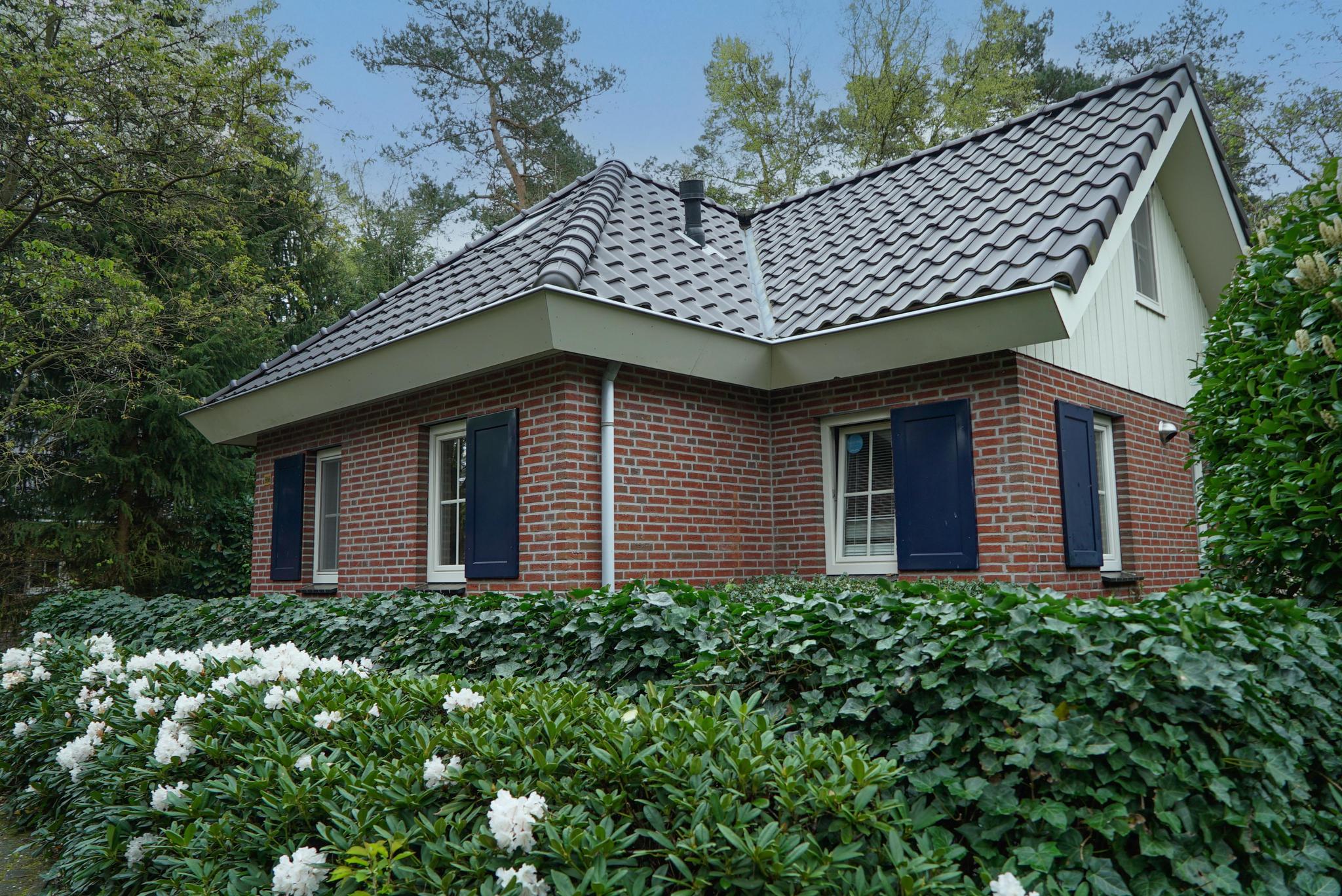 Unterkünfte Beekbergen - Grosse Unterkunft - Villa 8 - 3