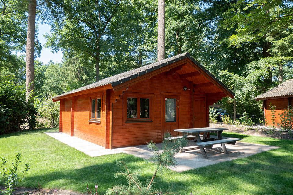 Unterkünfte De Utrechtse Heuvelrug - Chalet - Boekhorst 4 - 3