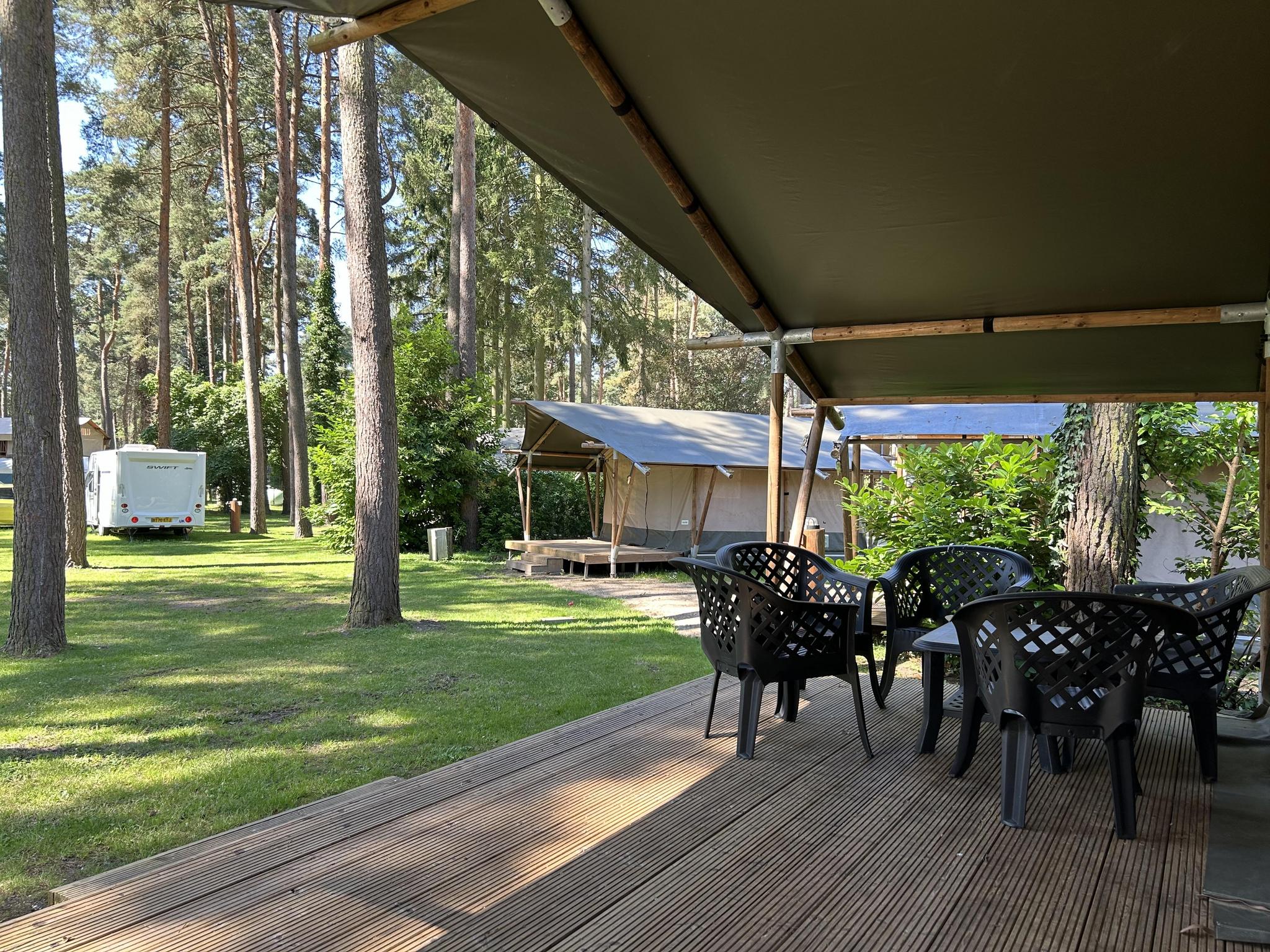 Accommodatie Hoge Kempen - Glampingtent - Bergerven Lodge 6 - 13